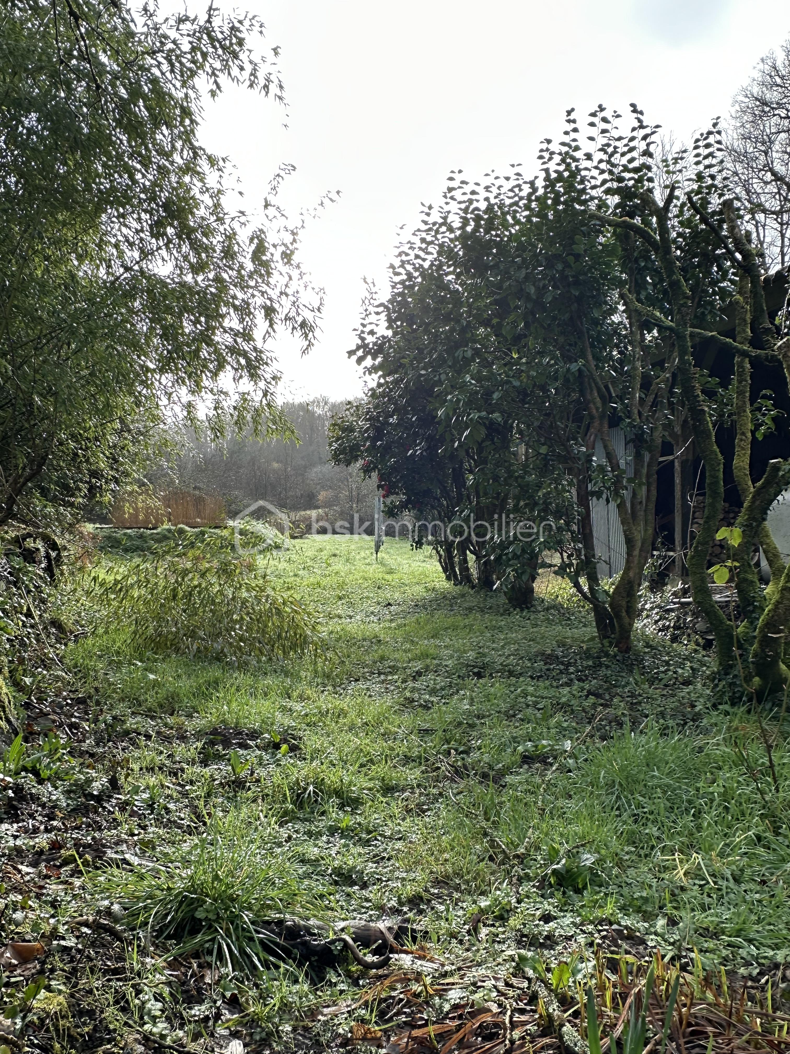 Moulin de 130 m² - IMG_0369.jpeg