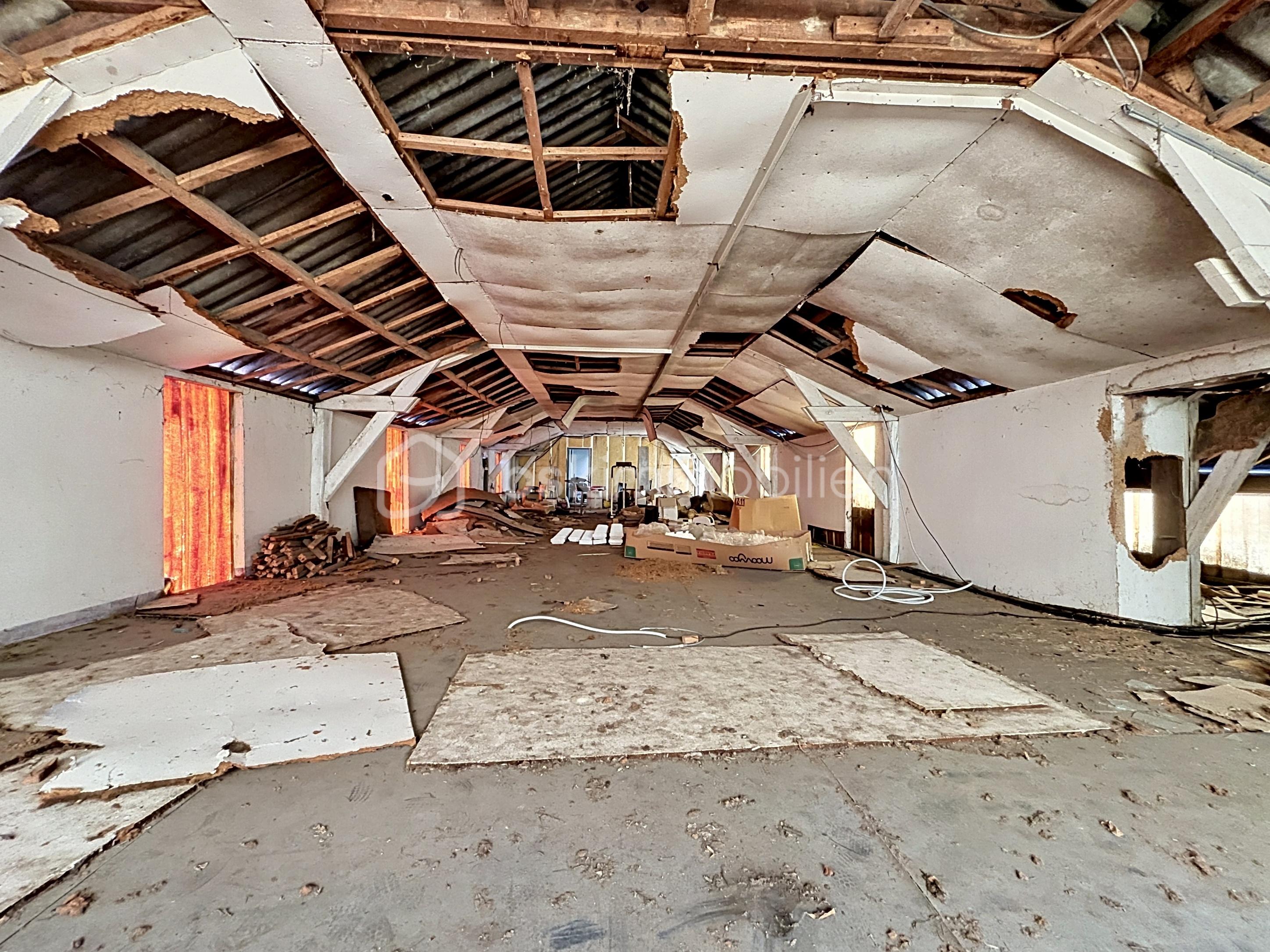 244196_00001.jpg