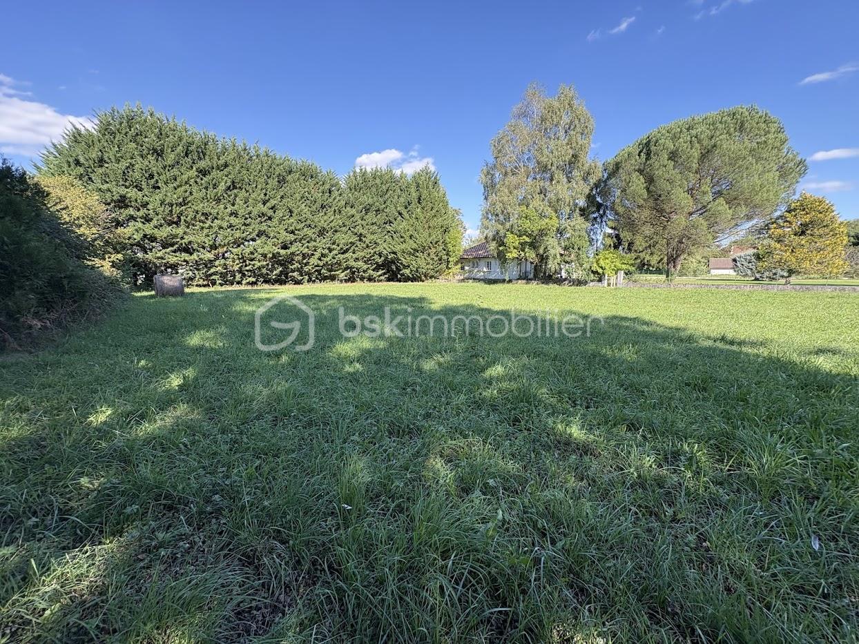 Terrain de 1 978 m² - IMG_6523.jpg