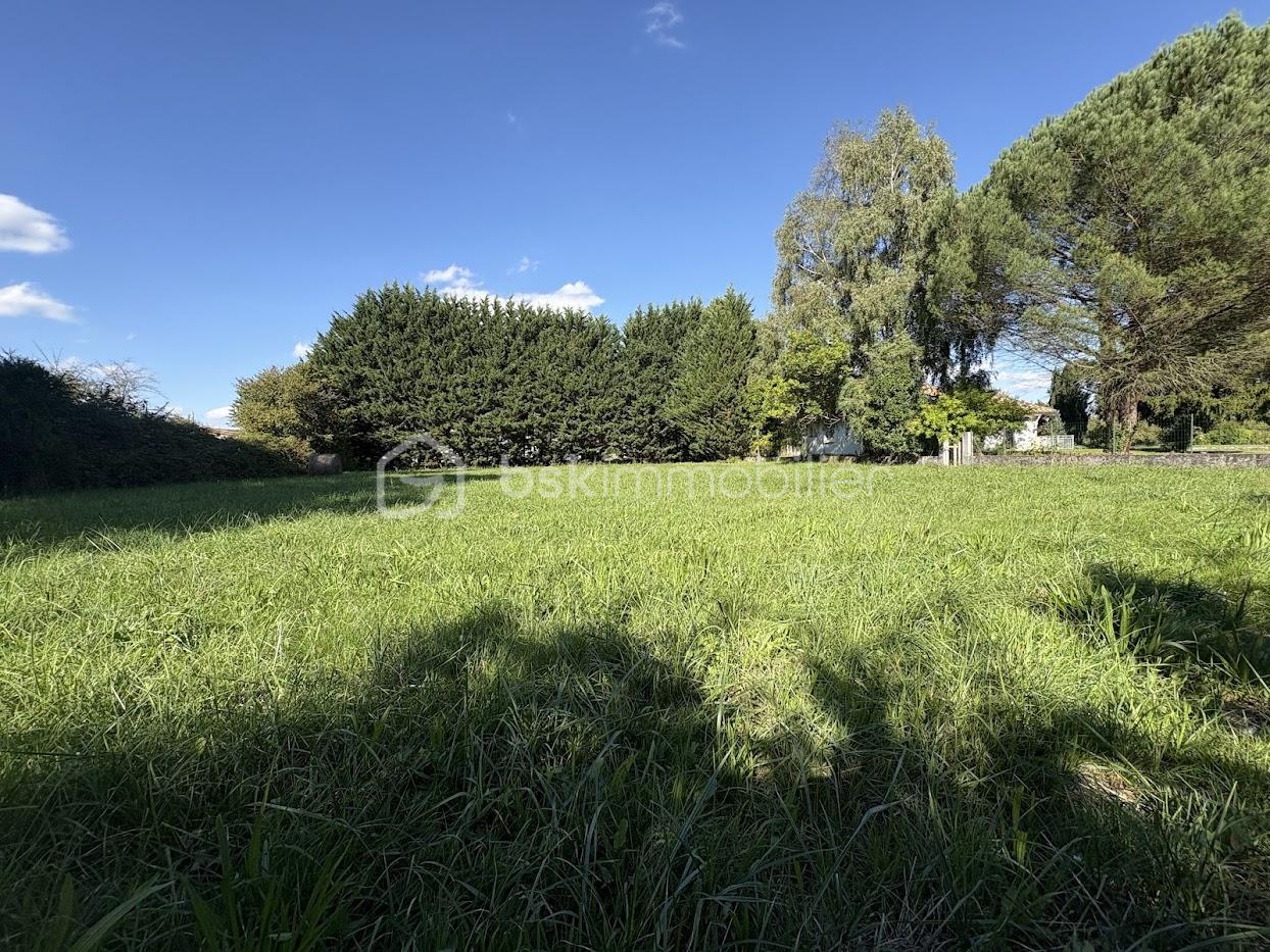 Terrain de 1 978 m² - IMG_6525.jpg