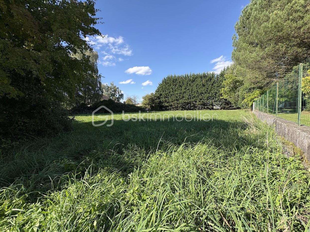 Terrain de 1 978 m² - IMG_6526.jpg