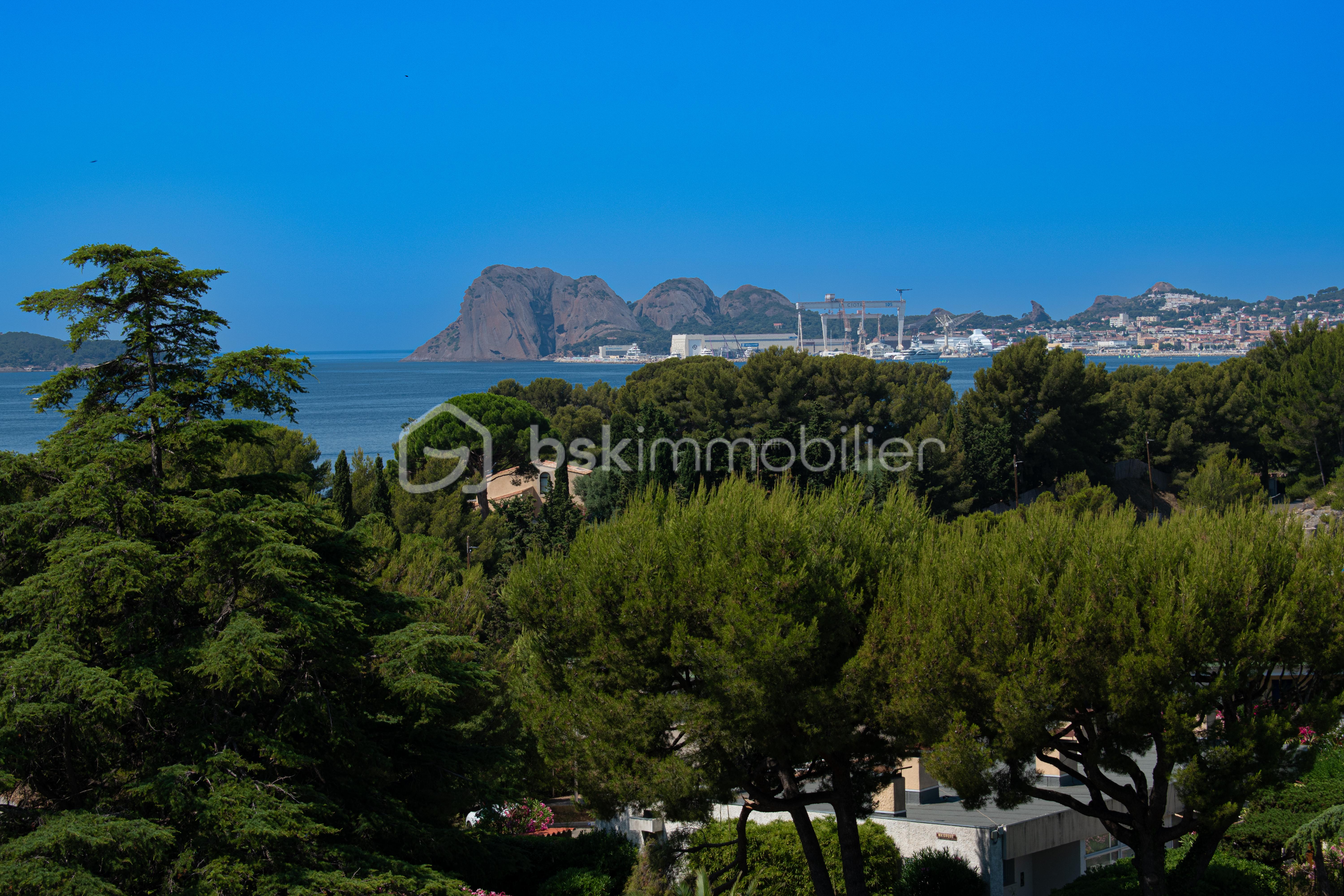 DSC_0898.jpg