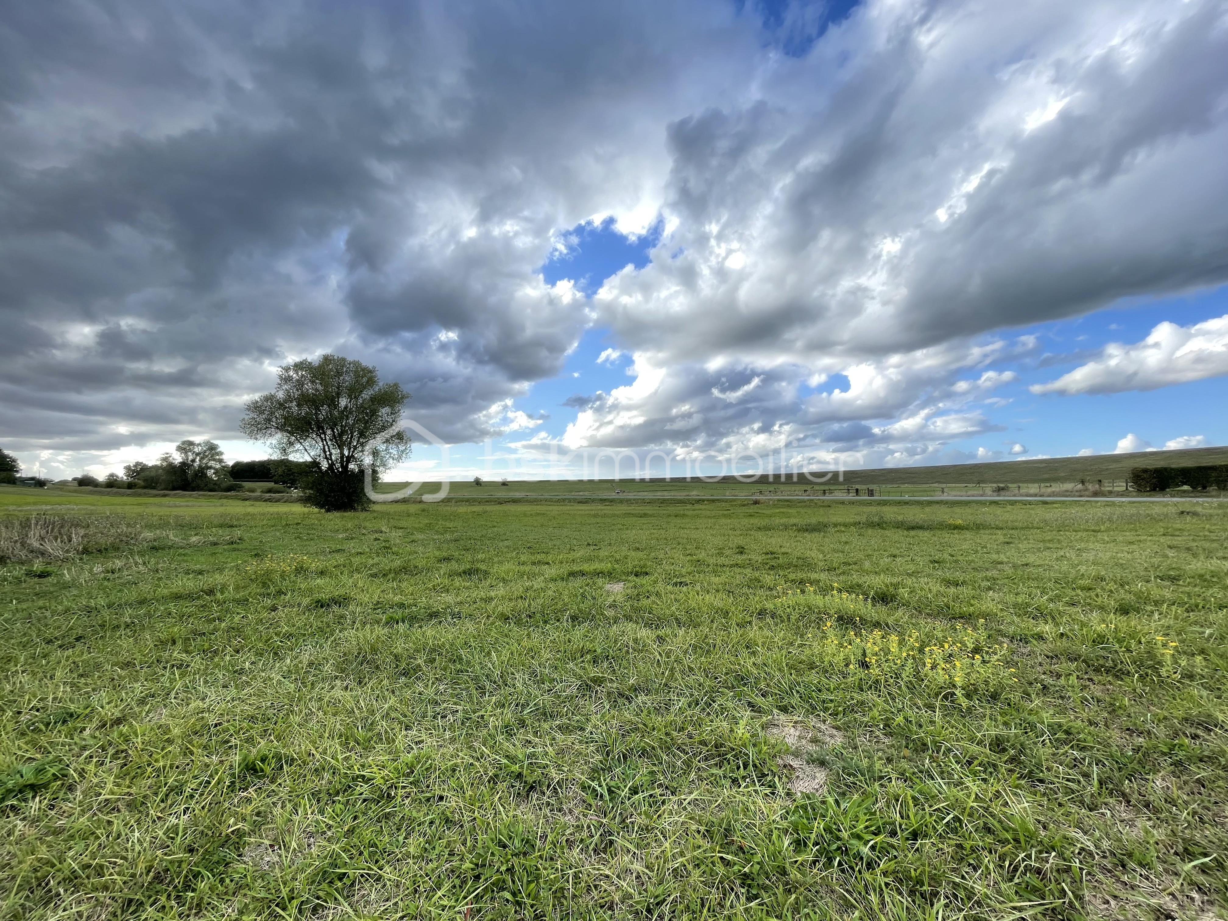 Terrain de 1 240 m² - IMG_2139 (1).jpg