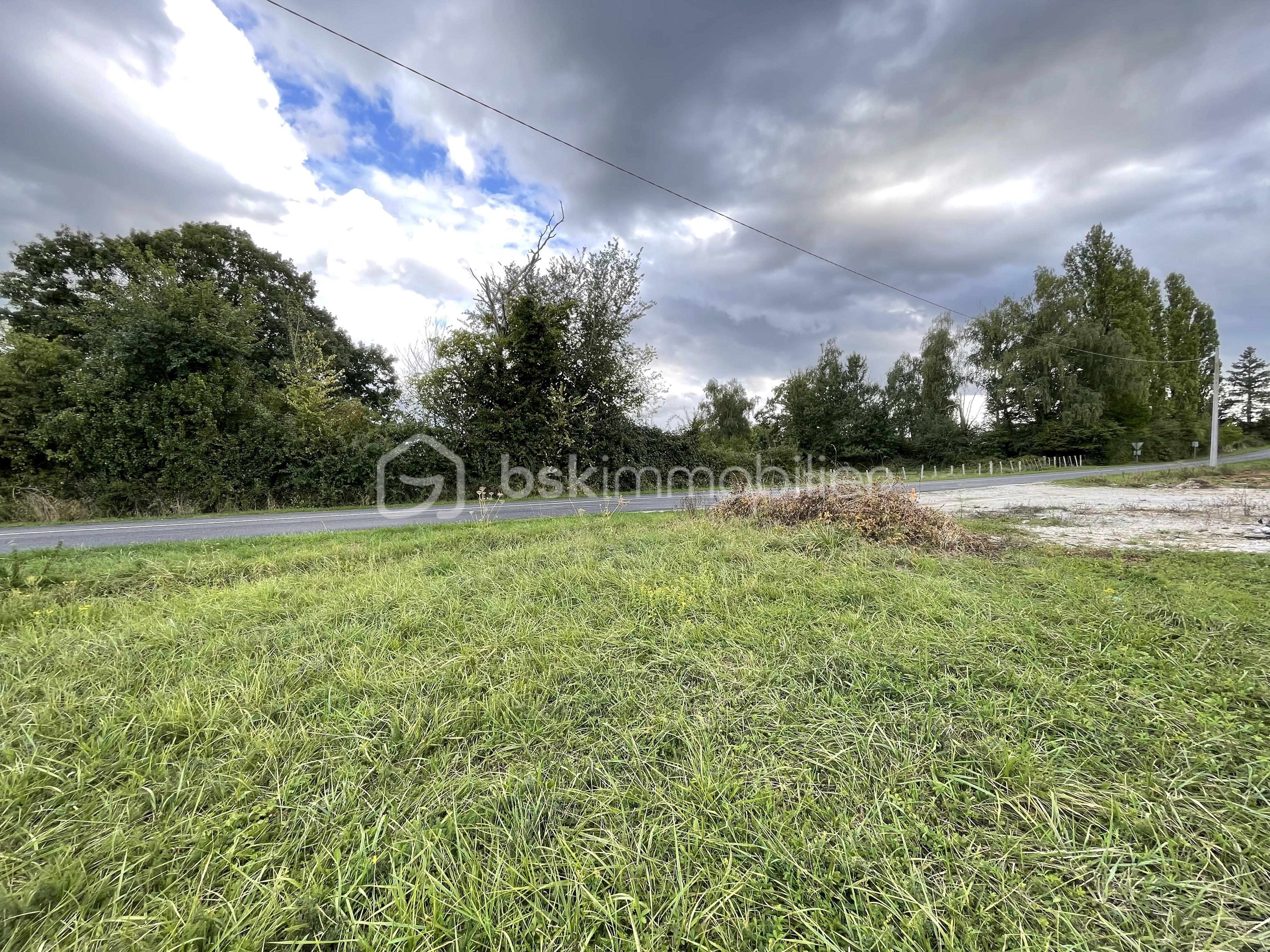 Terrain de 1 240 m² - IMG_2142.jpg