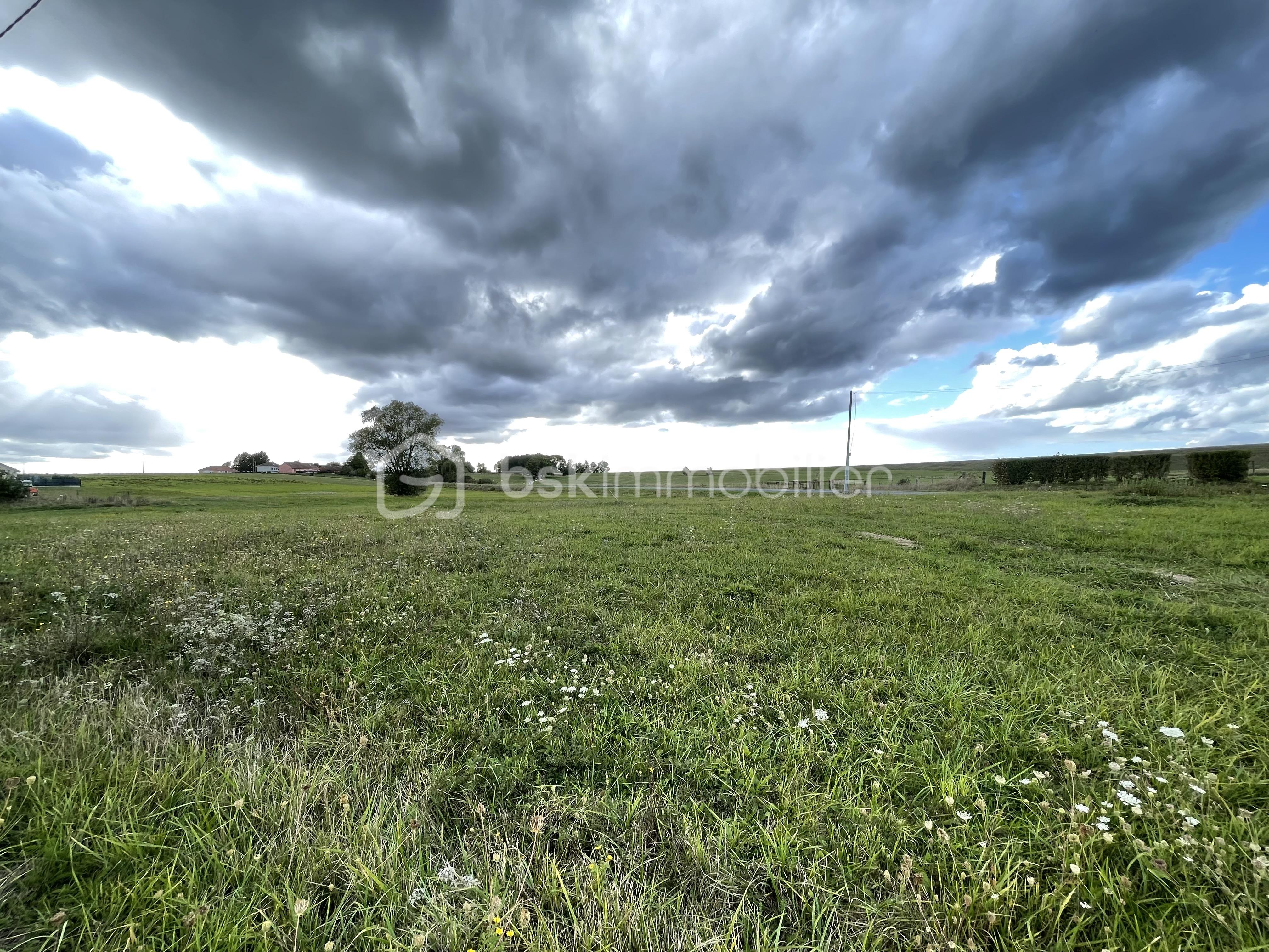 Terrain de 1 240 m² - IMG_2157.jpg