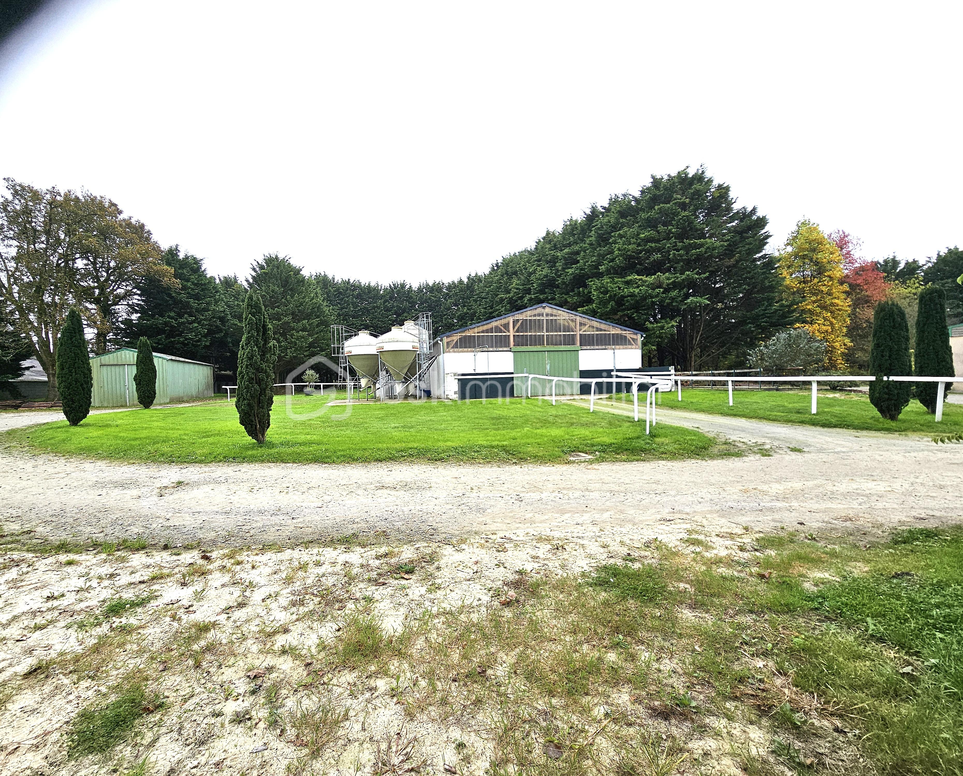 Terrain de 40 000 m² - SILO NOZAY.jpg