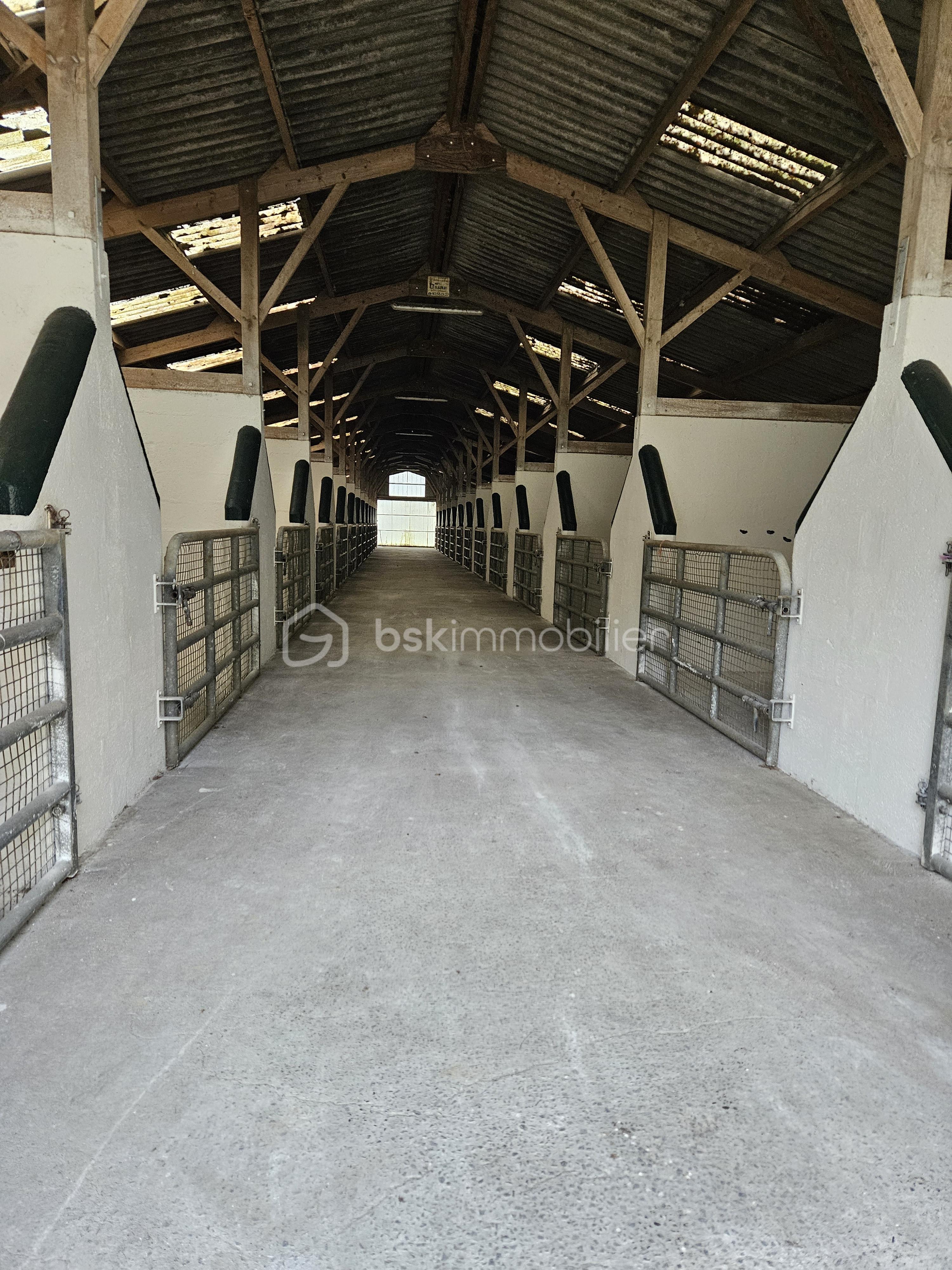 Terrain de 40 000 m² - BOXE1 NOZAY.jpg