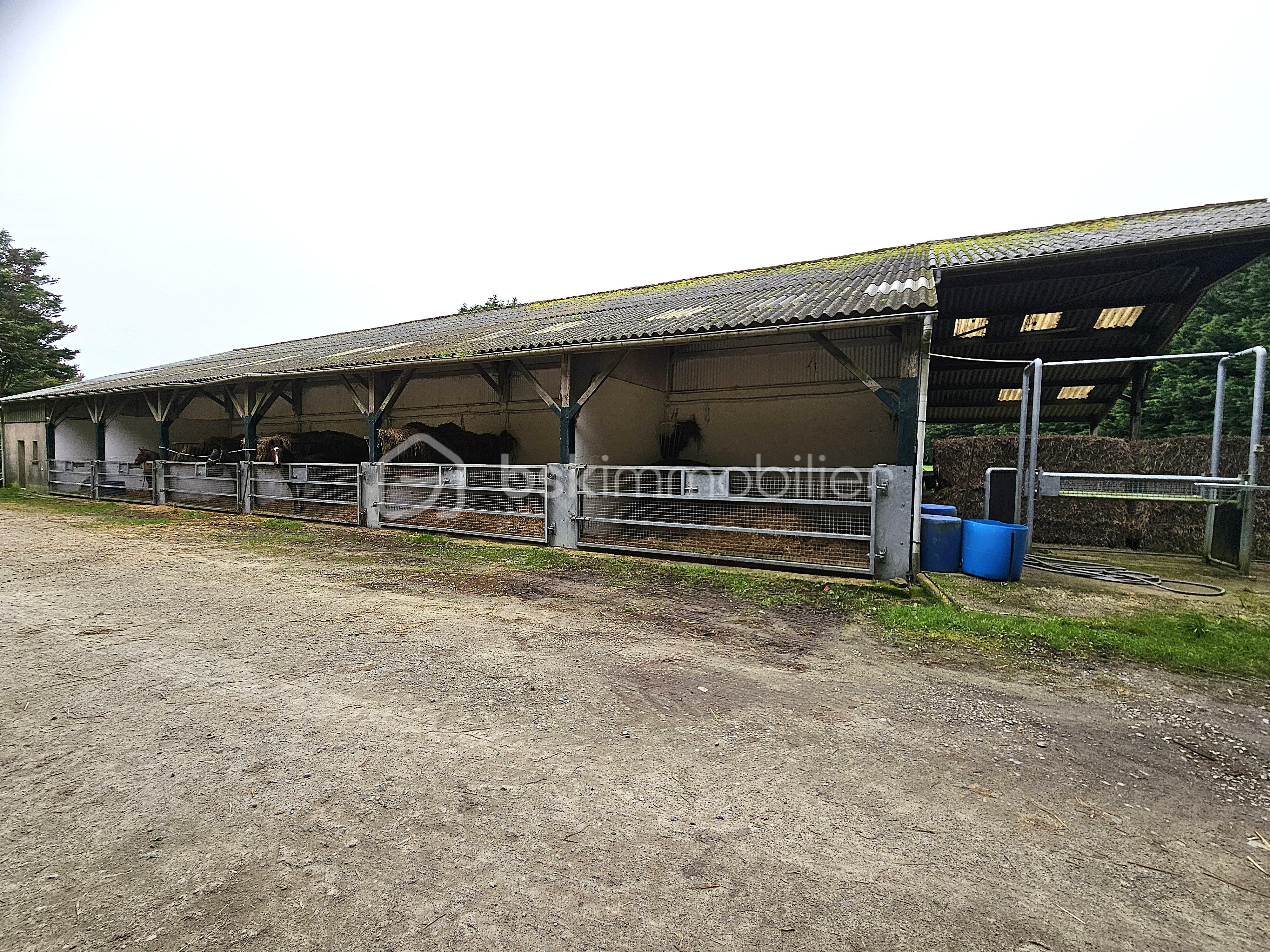 Terrain de 40 000 m² - DERRIERE BUREAUX NOZAY.jpg