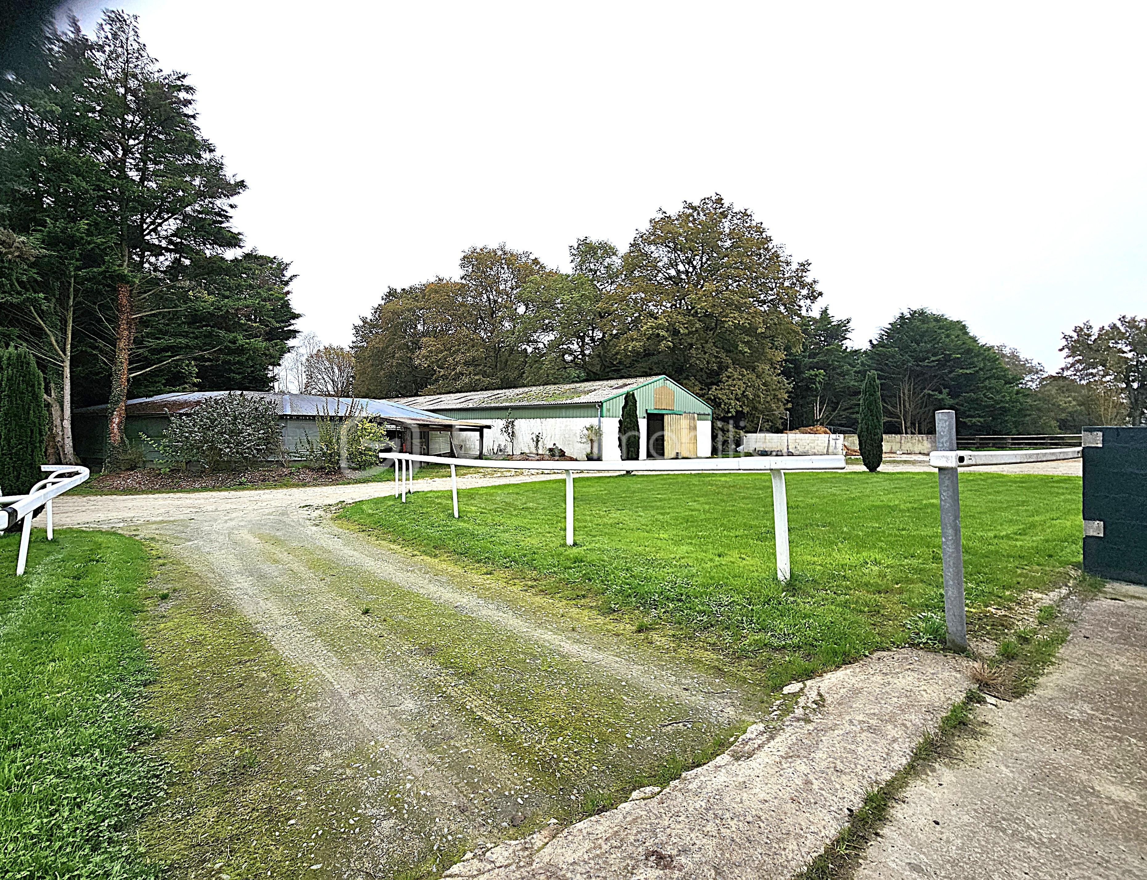 Terrain de 40 000 m² - MARCHEUR ET HANGAR NOZAY.jpg