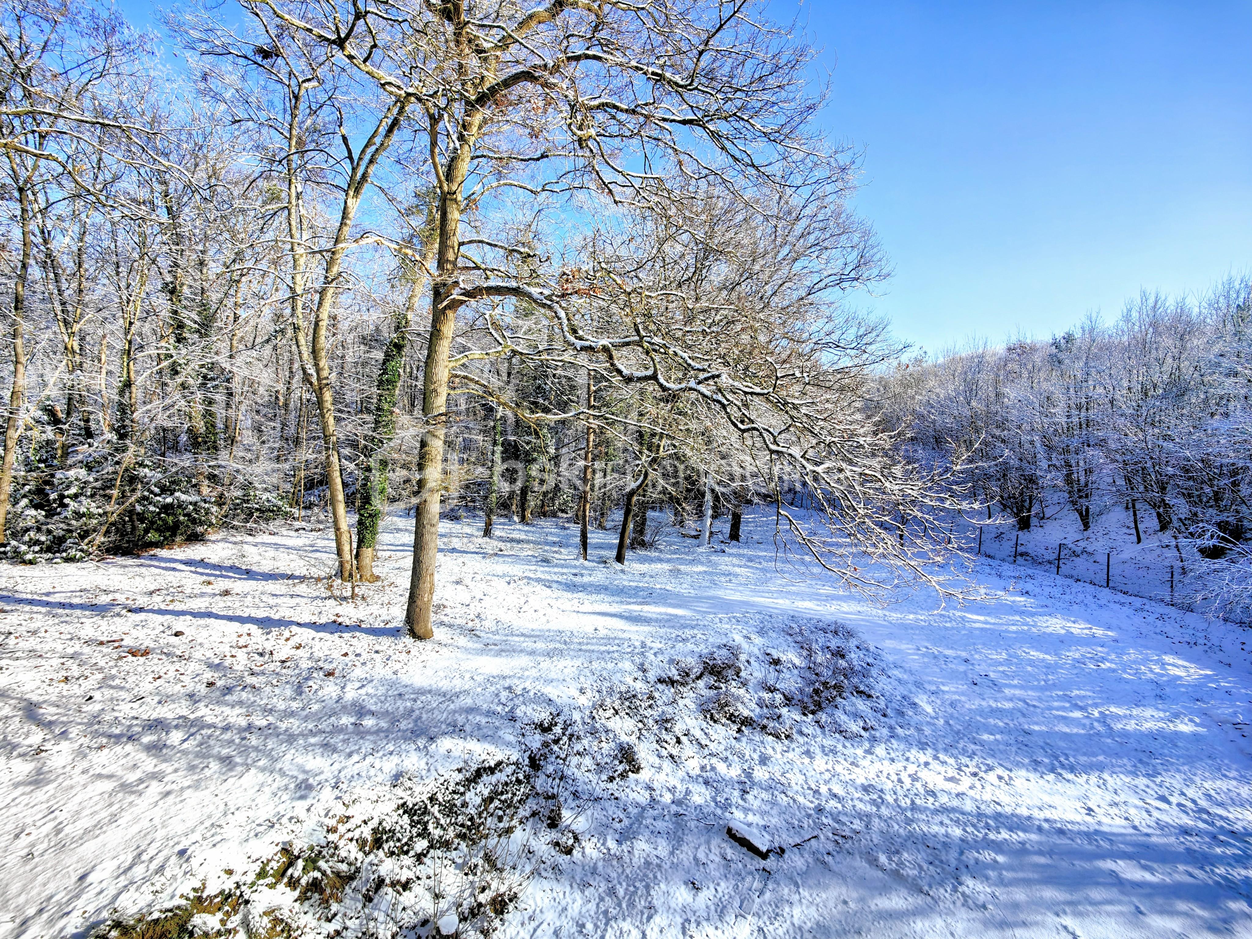 Maison de 150 m² - IMG20260106120855~2.jpg