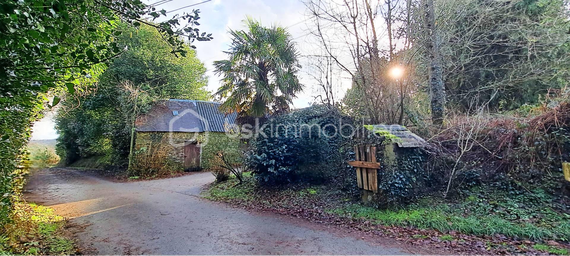 Corps de ferme de 80 m² - puits et grange.jpg