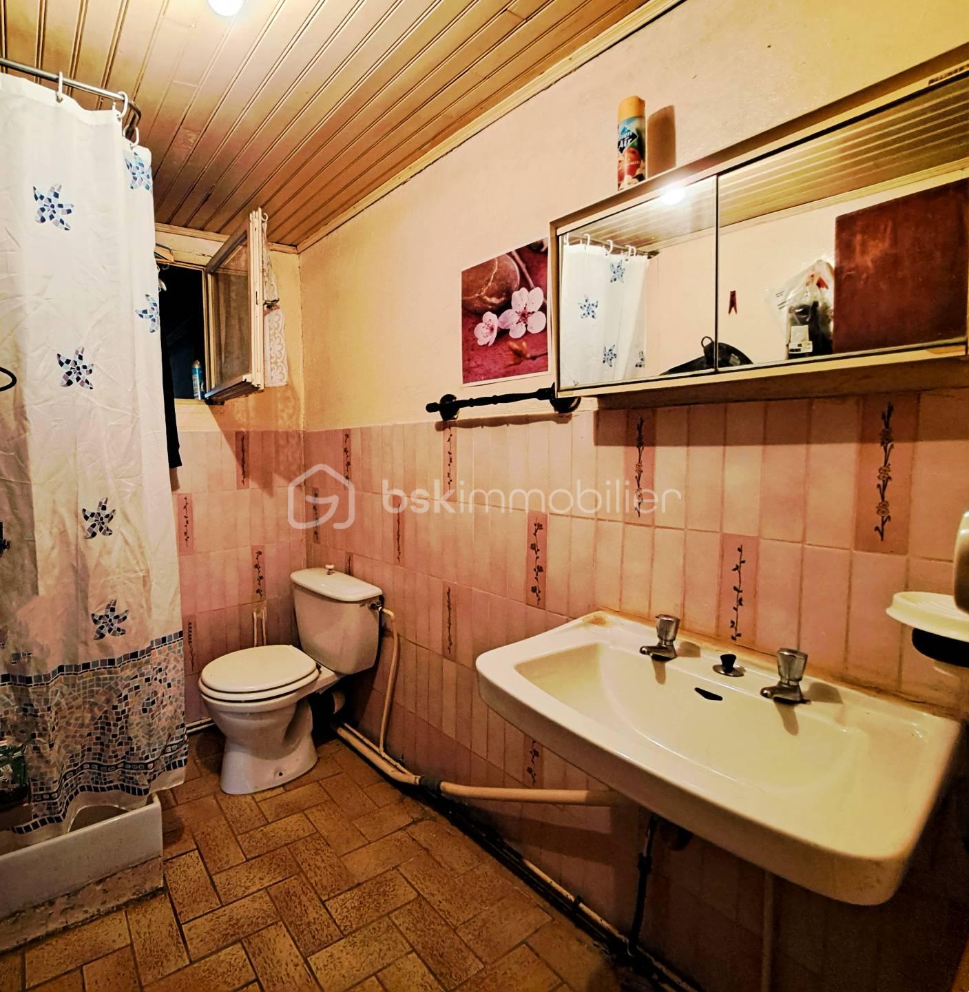 Corps de ferme de 80 m² - salle d'eau.jpg