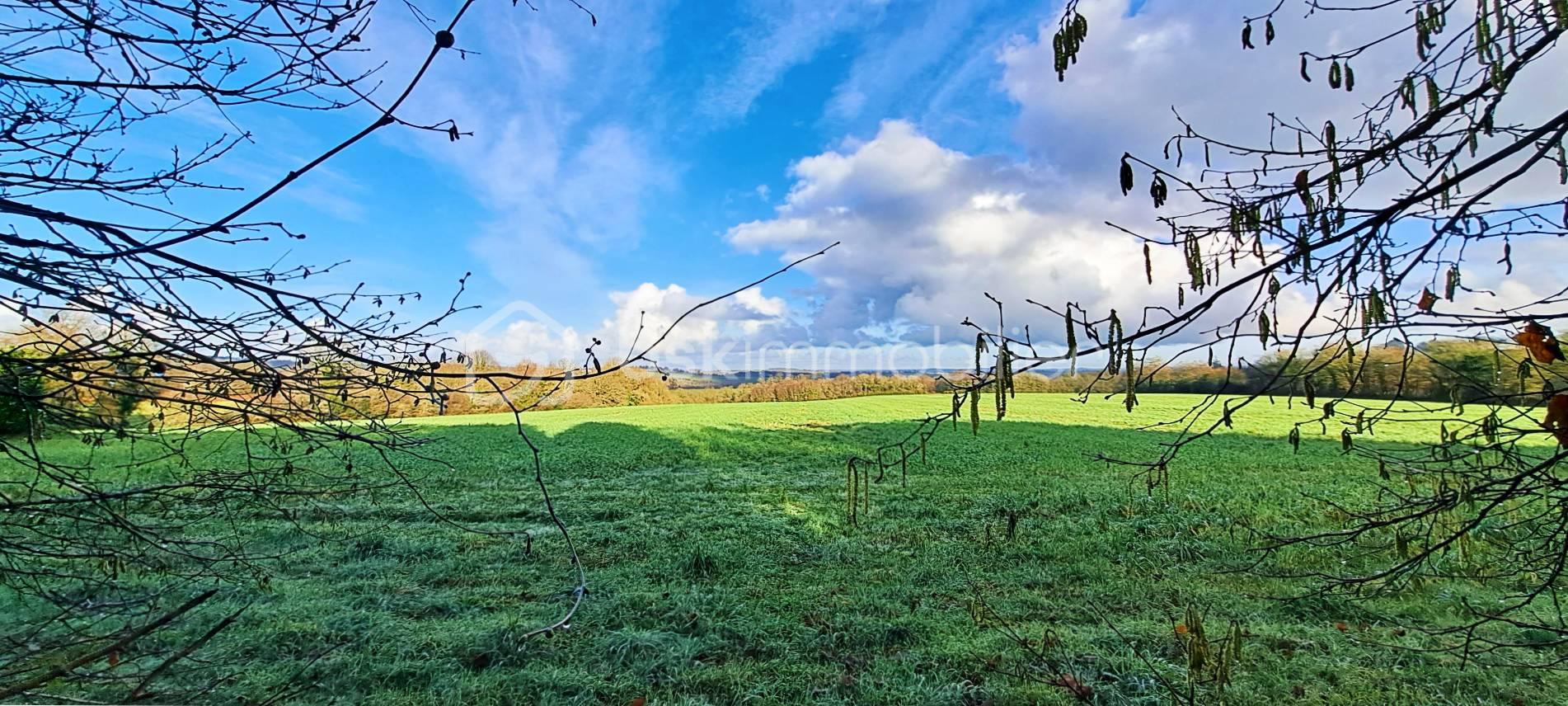 Corps de ferme de 80 m² - vue 1.jpg