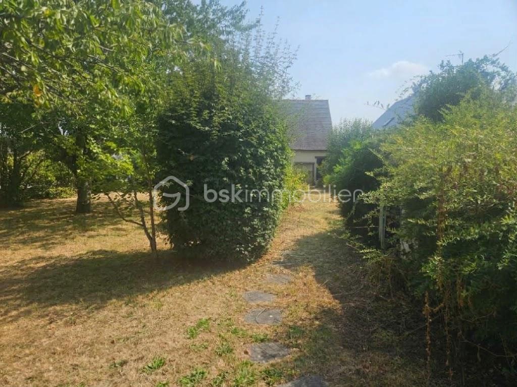 Jardin arriere.jpg