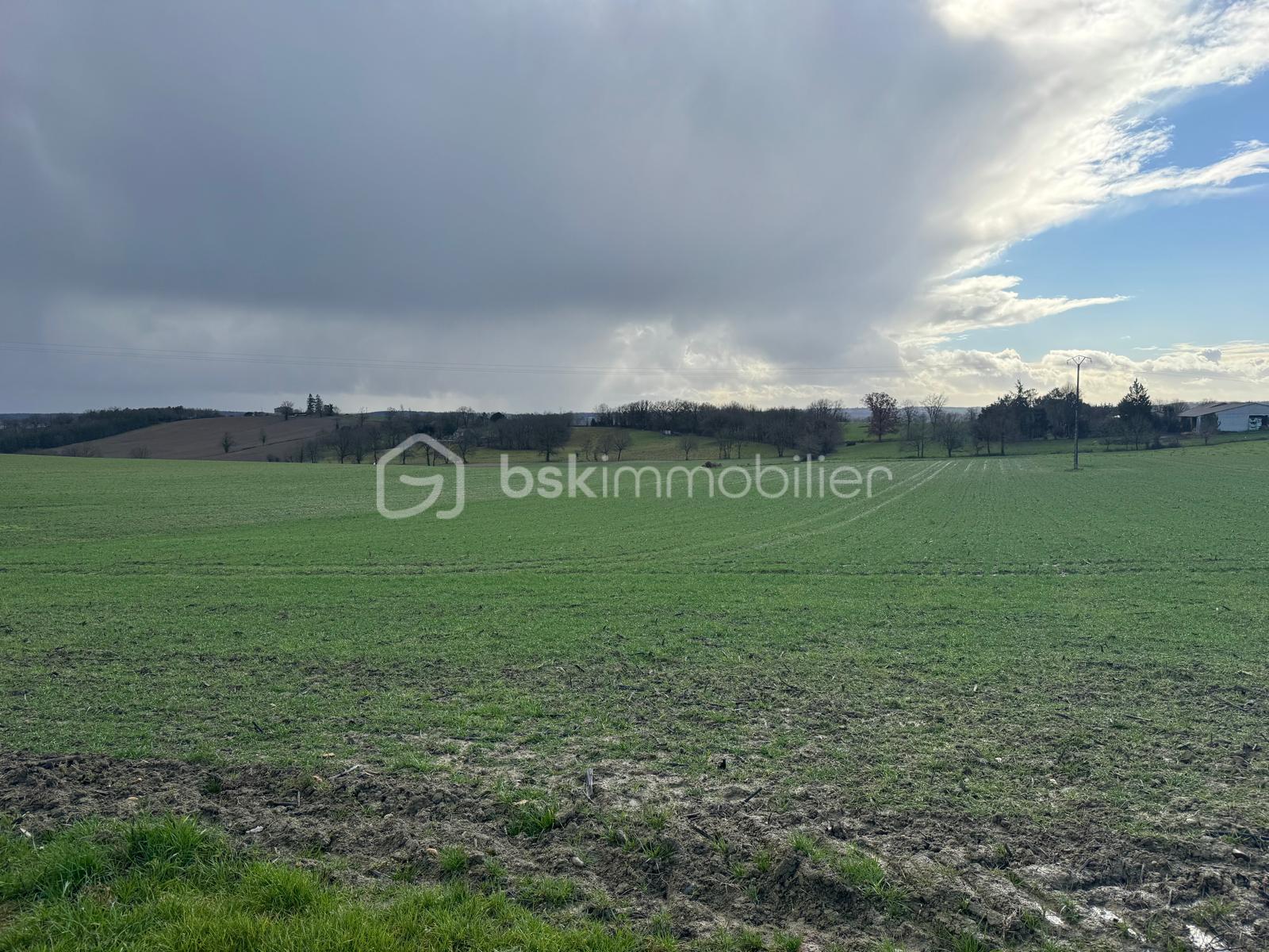 WhatsApp Image 2026-01-22 at 19.04.51b.jpeg