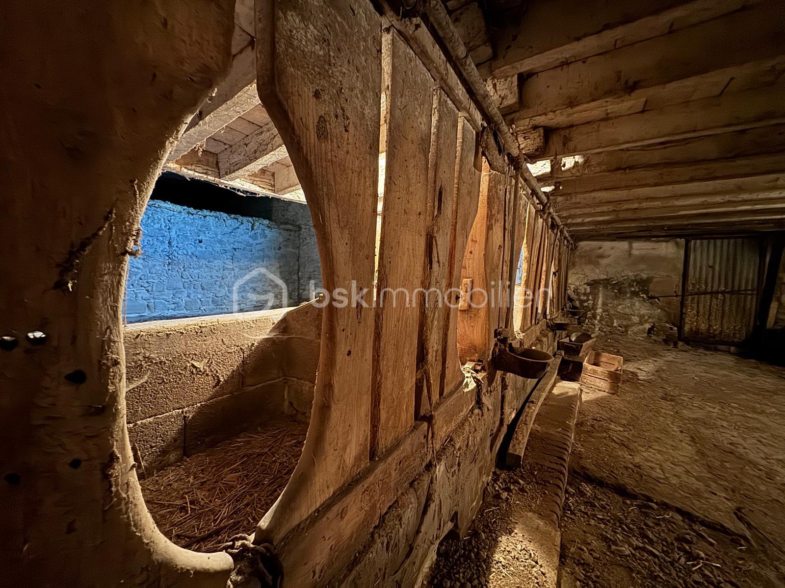 WhatsApp Image 2026-01-22 at 19.04.51c.jpeg