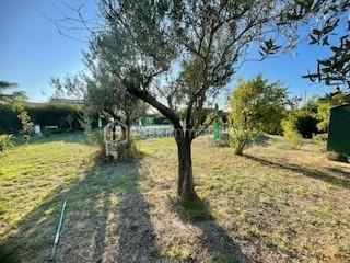 Terrain de 700 m² - thumbnail_IMG_8857.jpg