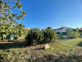 Terrain de 700 m² - thumbnail_IMG_8859.jpg