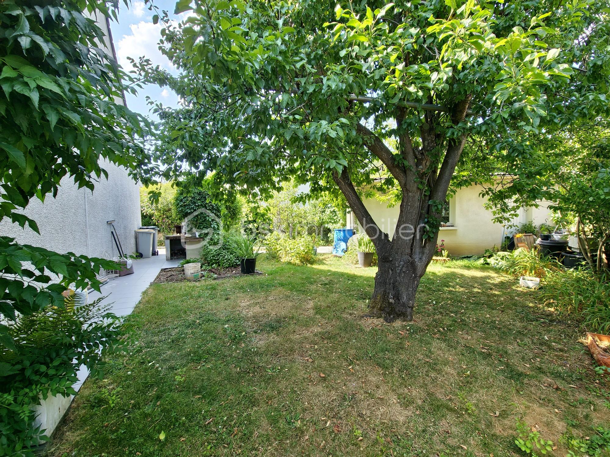 05 jardin c.jpg