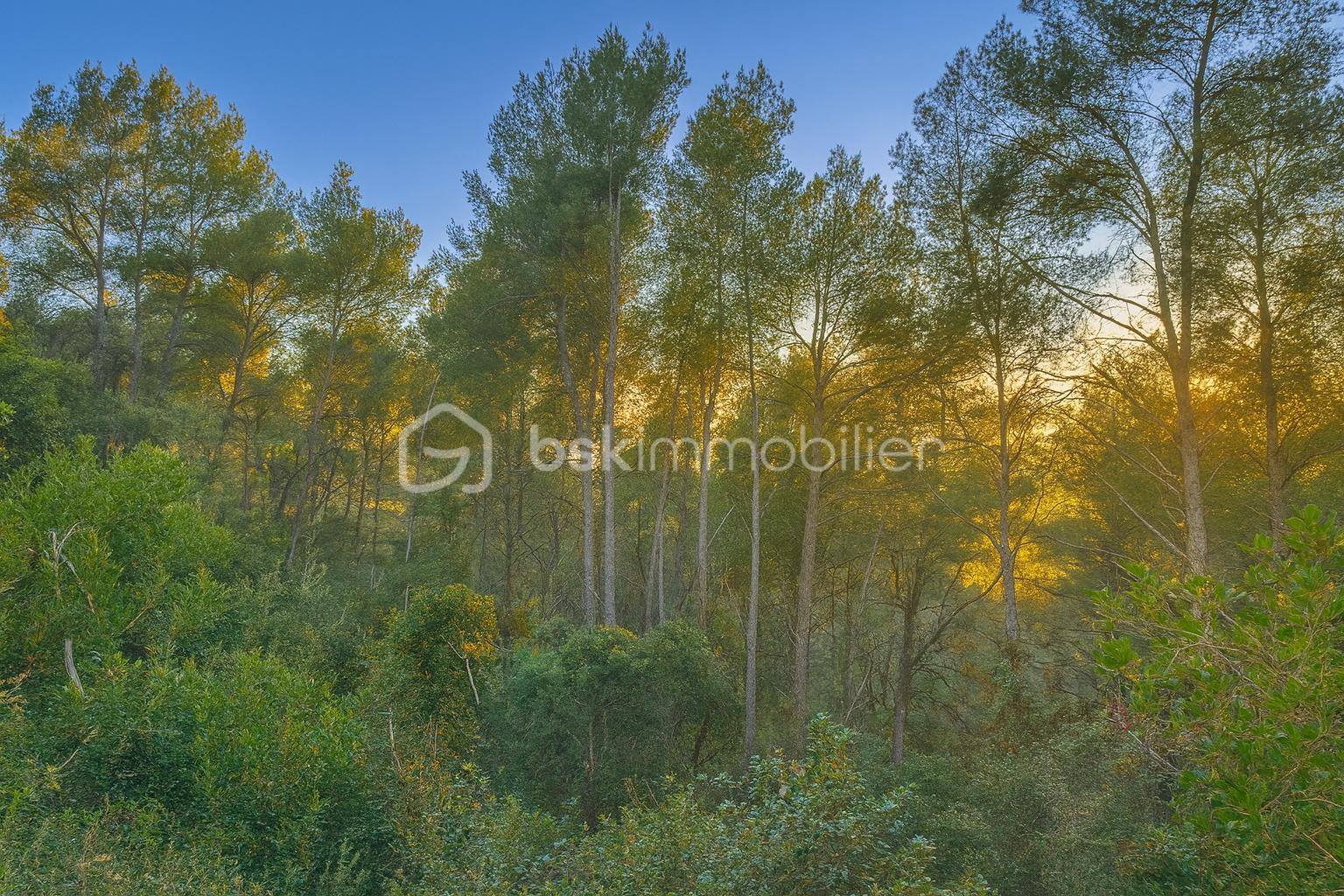 Terrain de loisirs de 5 600 m² - ChatGPT Image 28 nov. 2025, 09_45_40.jpg