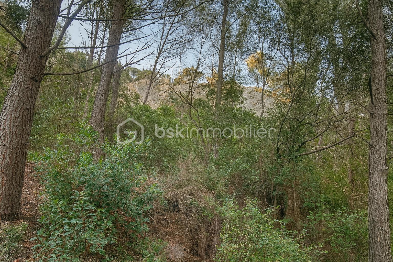 Terrain de loisirs de 5 600 m² - ChatGPT Image 28 nov. 2025, 09_56_47.jpg