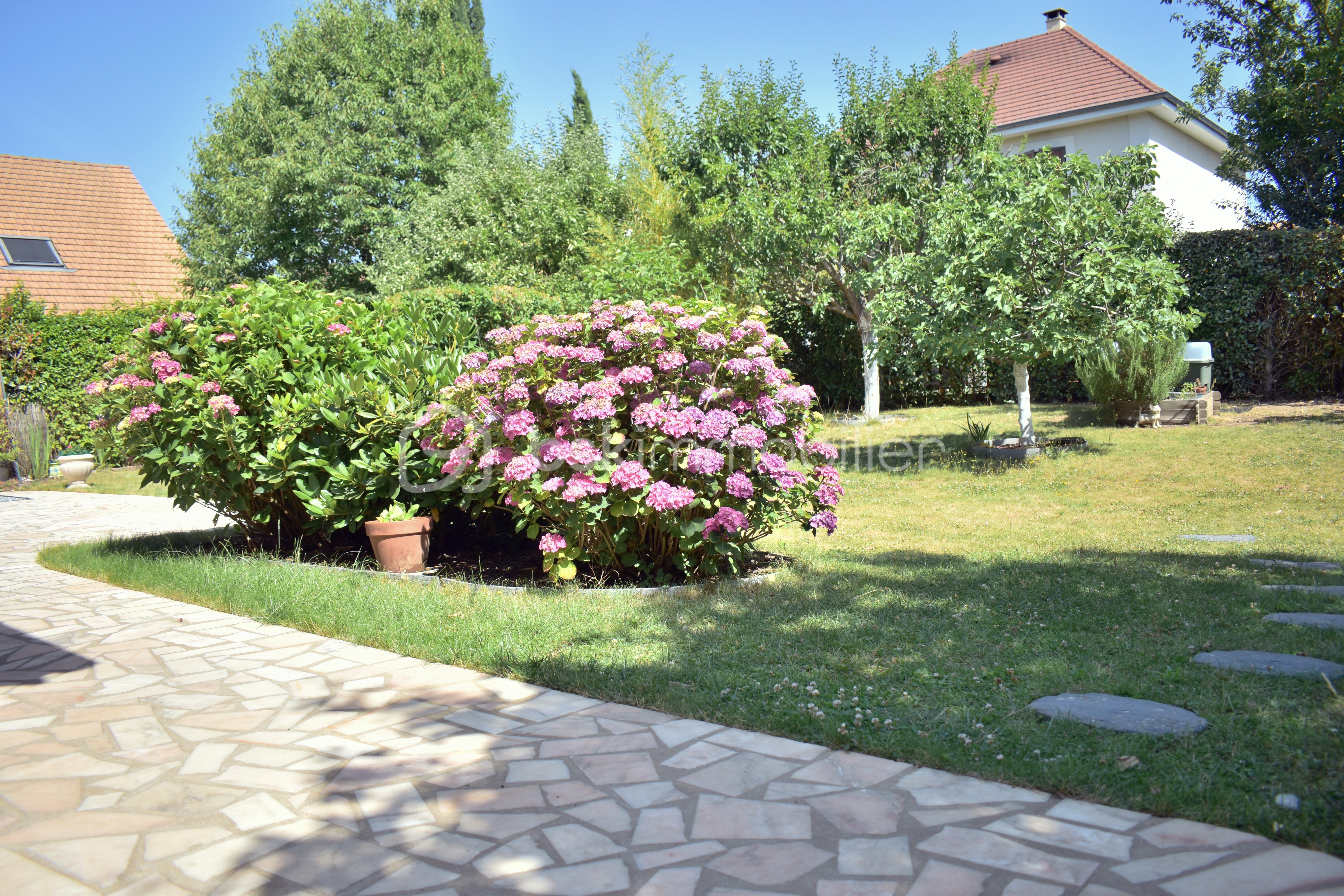 DSC_1097.JPG