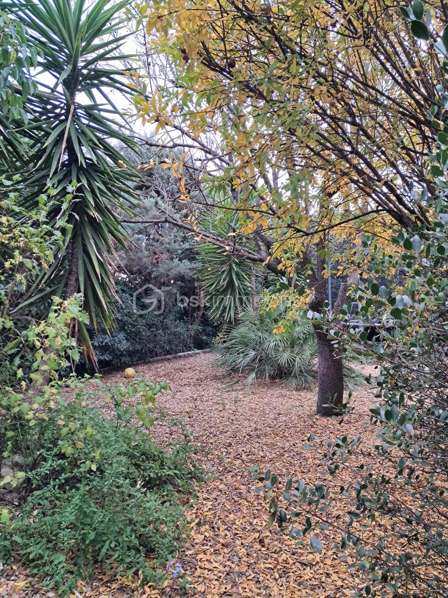 Maison d architecte de 170 m² - 5g-exterieur.jpg