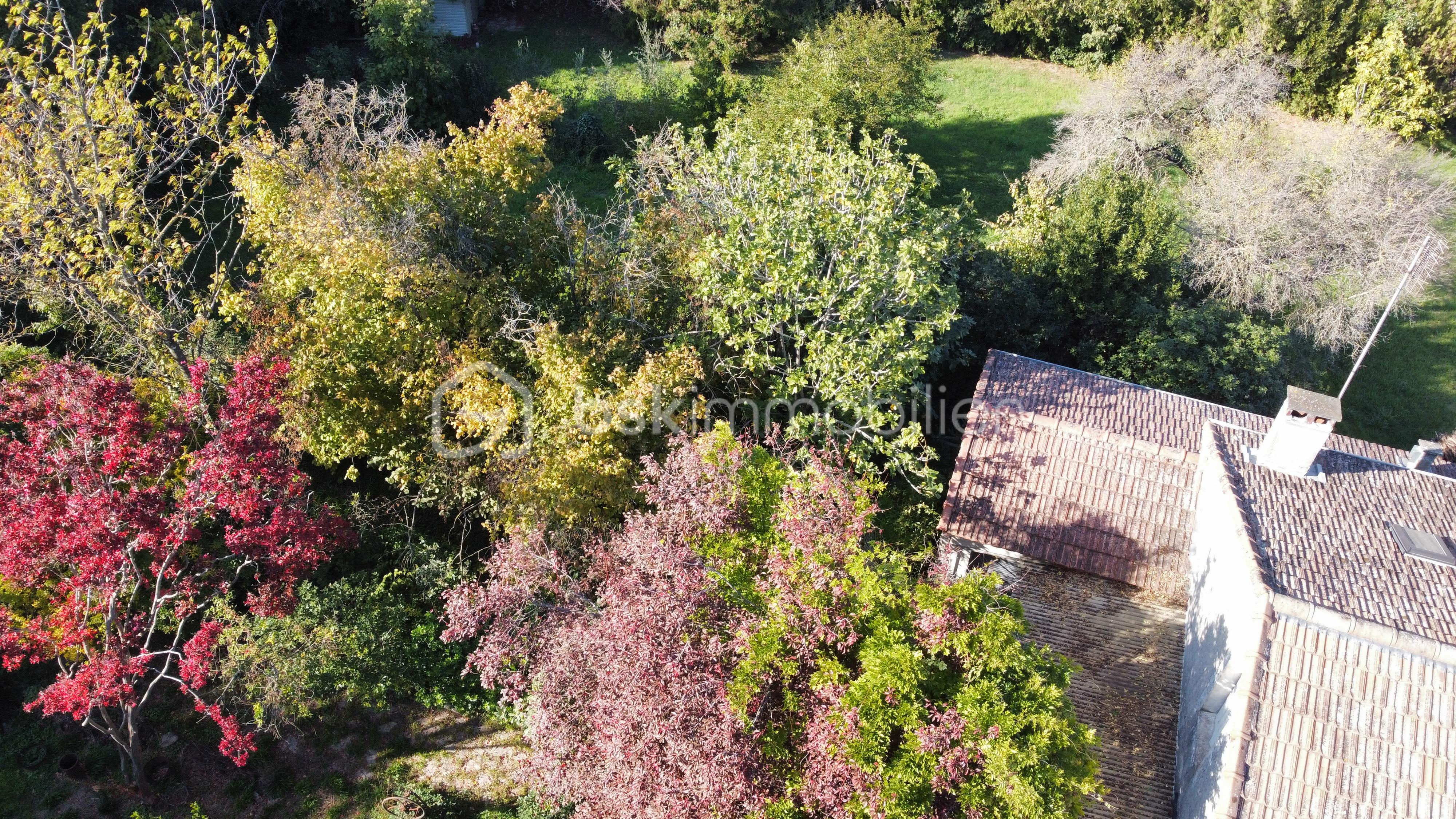 Maison de 254 m² - dji_fly_20251016_154214_384_1760622142102_photo_optimized.jpg