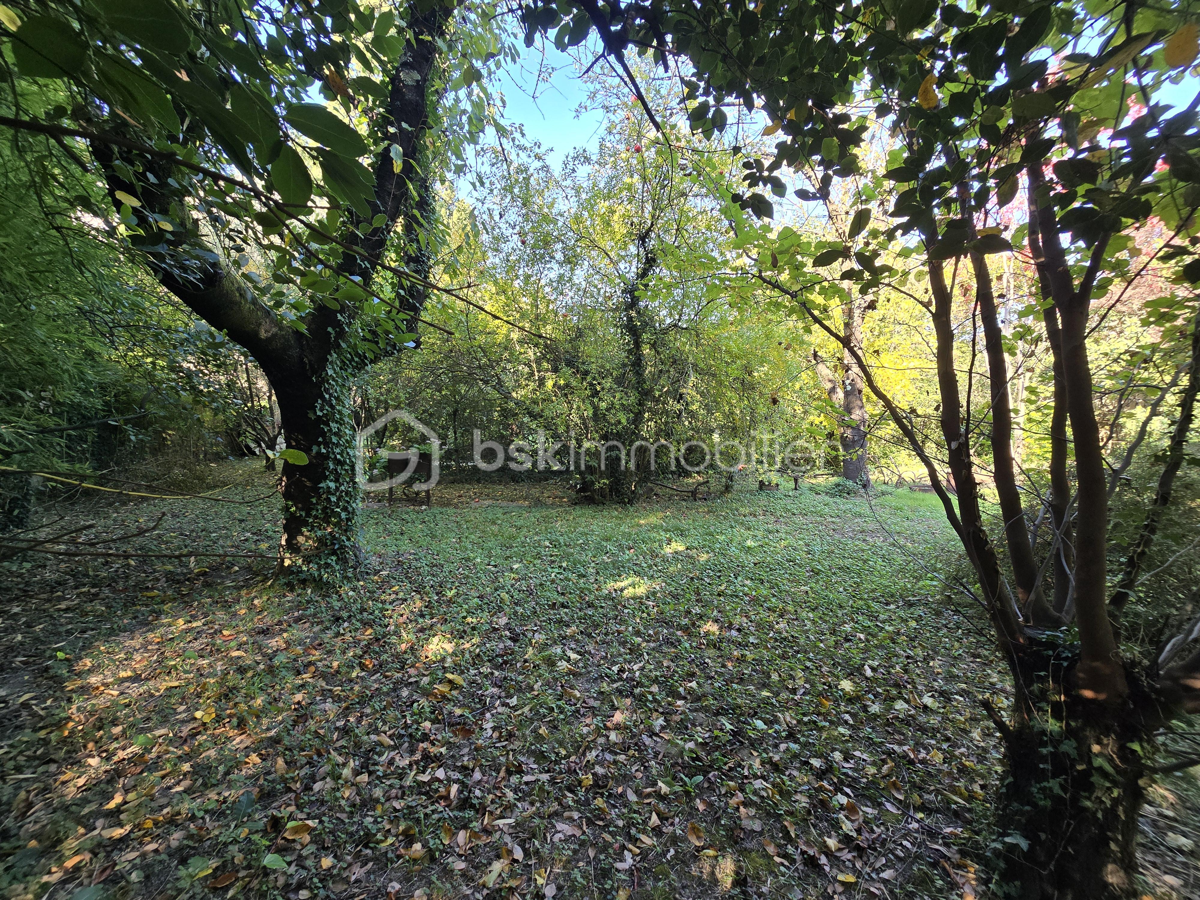 Maison de 254 m² - 20251016_144727.jpg