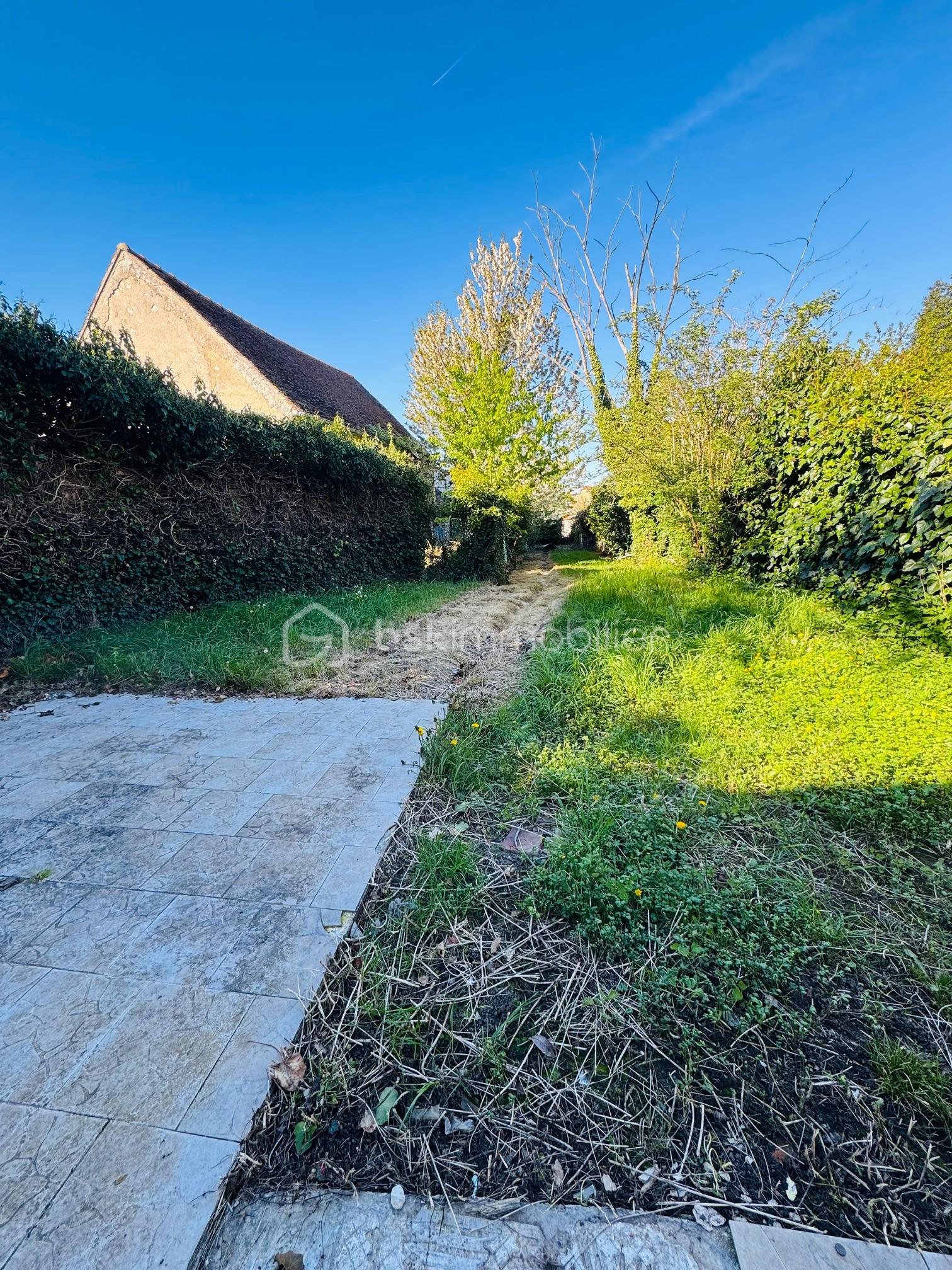 Jardin.jpg