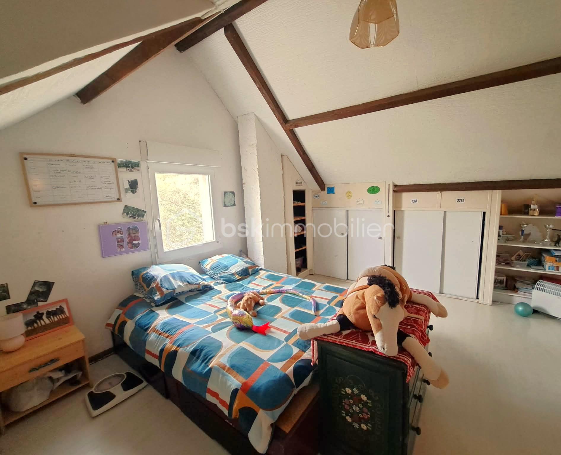 90d0e057-cc53-4d1d-9058-89150a25ccc8.jpg