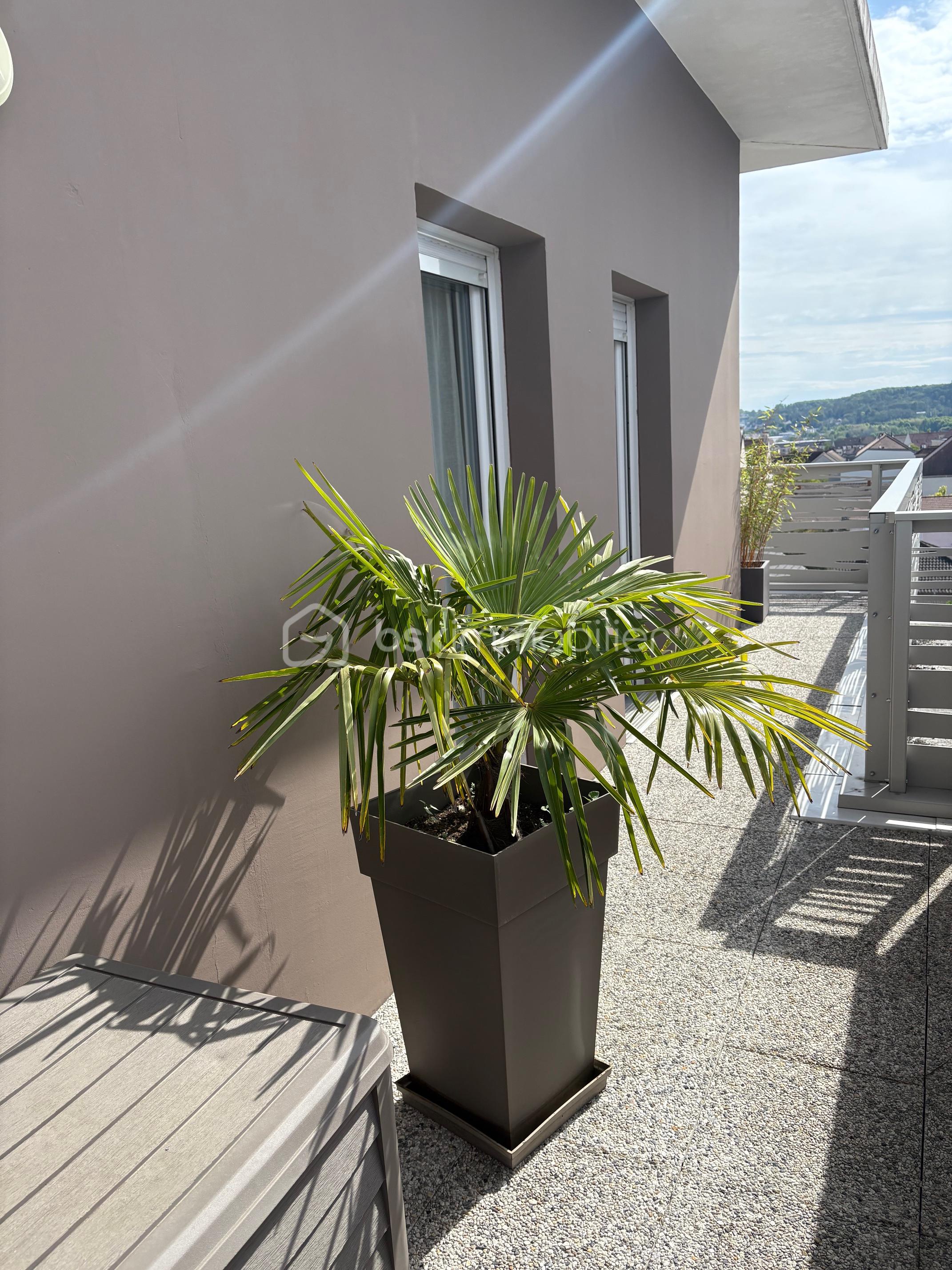 Appartement de 87,66 m² - IMG_2086.jpg