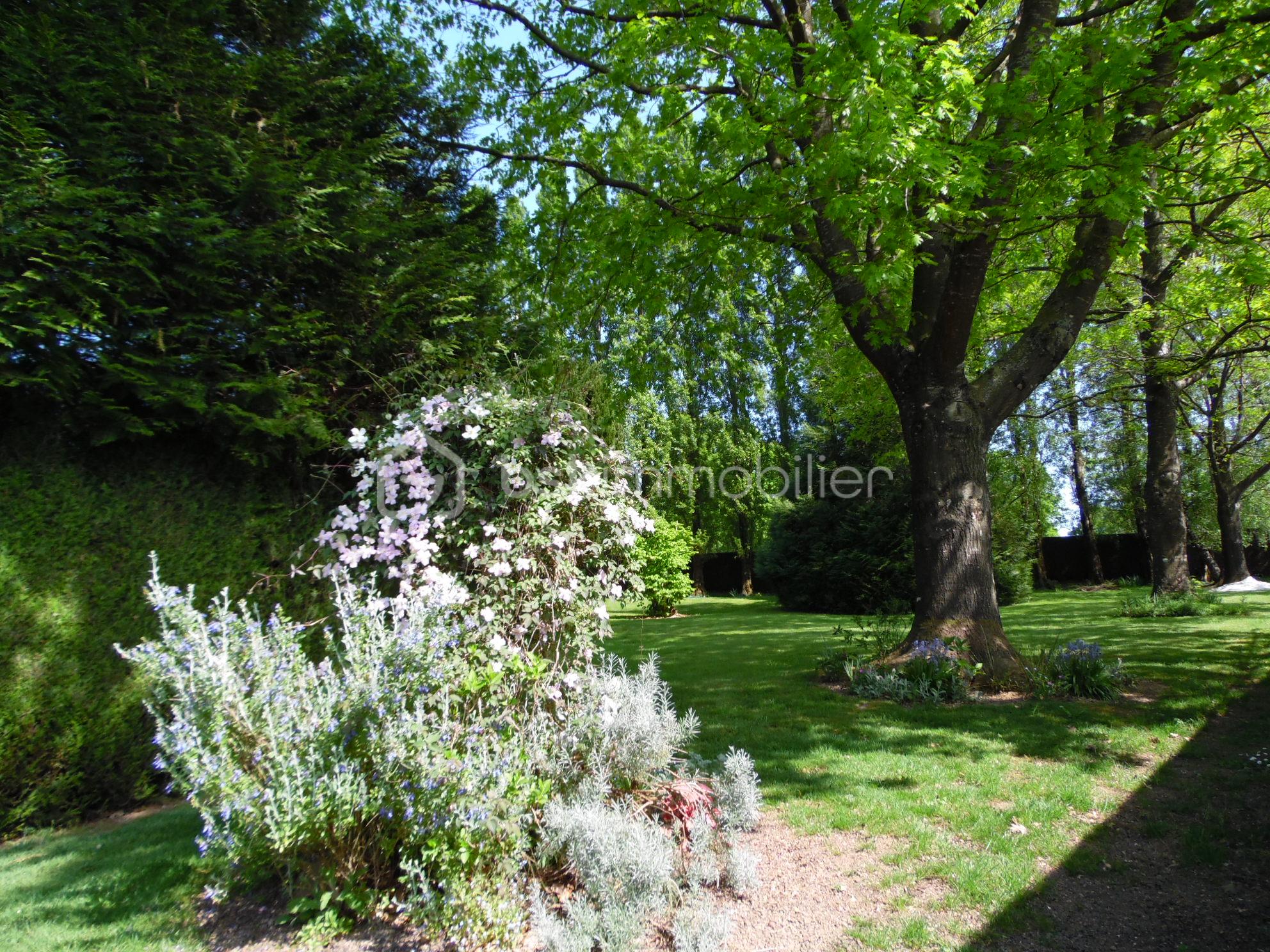 Jardin boisé.JPG