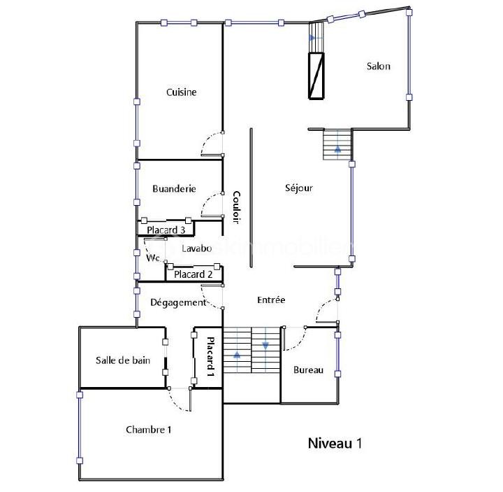 Maison d architecte de 312 m² - plan niveau 1 a.png