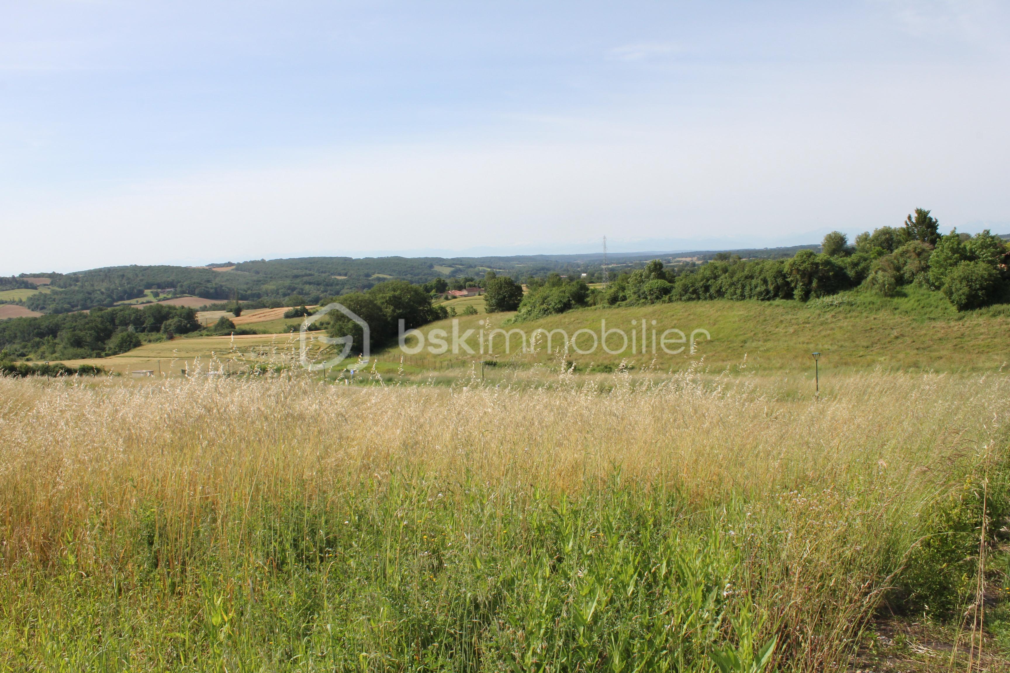 IMG_4603 - Copie.JPG