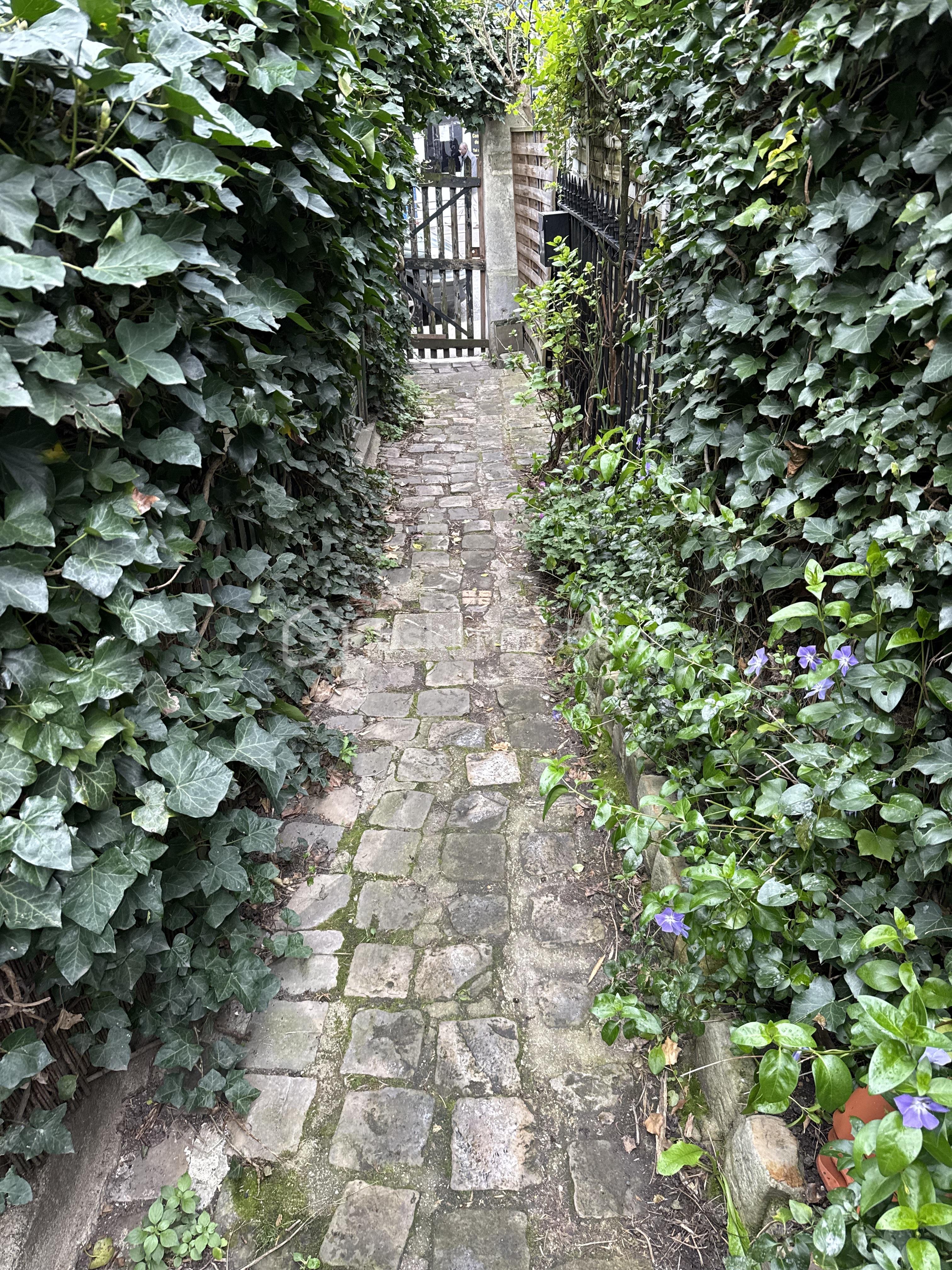 IMG_6523.jpeg
