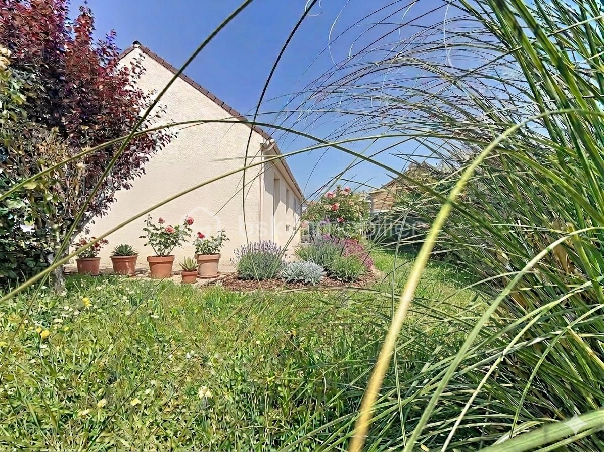 jardin 1 retoucche ia.png