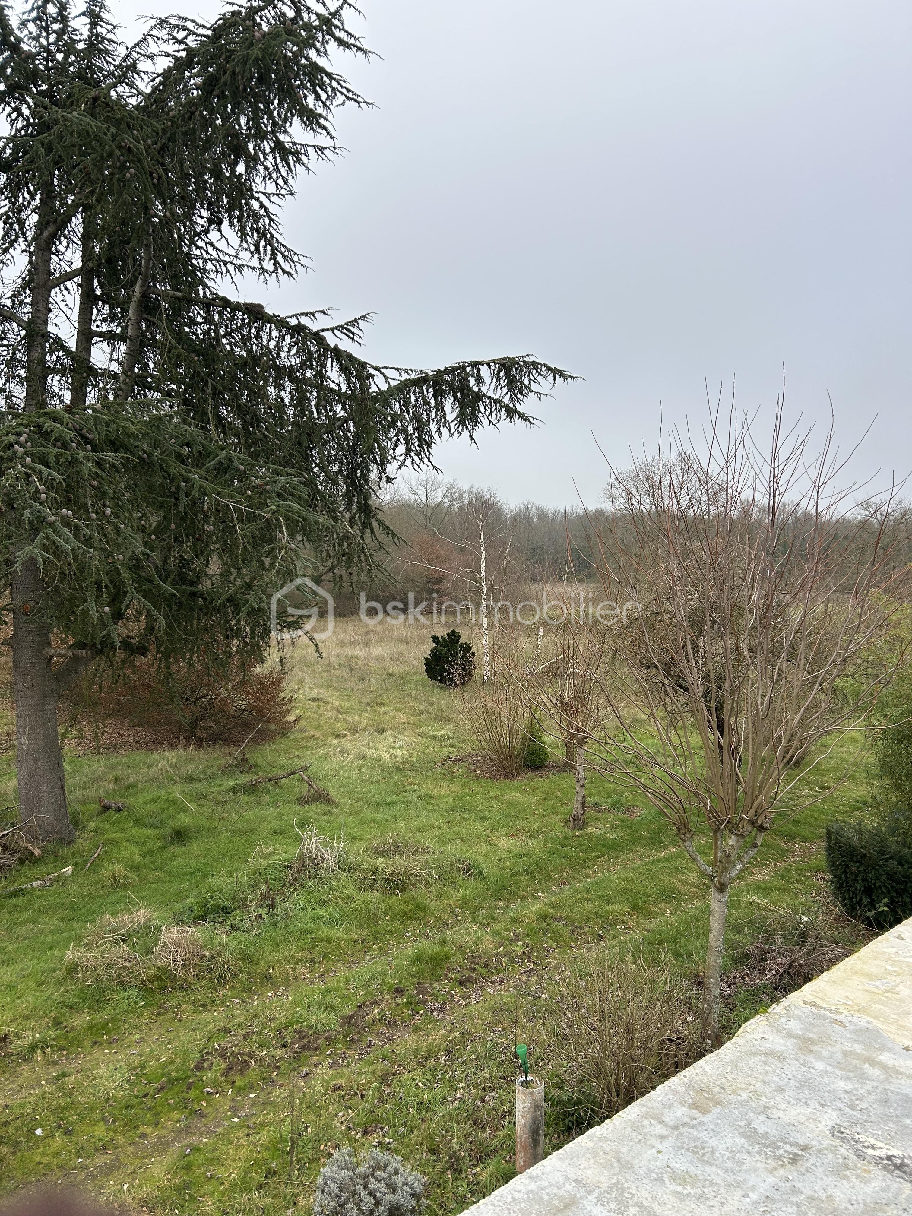 Maison ancienne de 110 m² - IMG_0904.jpeg