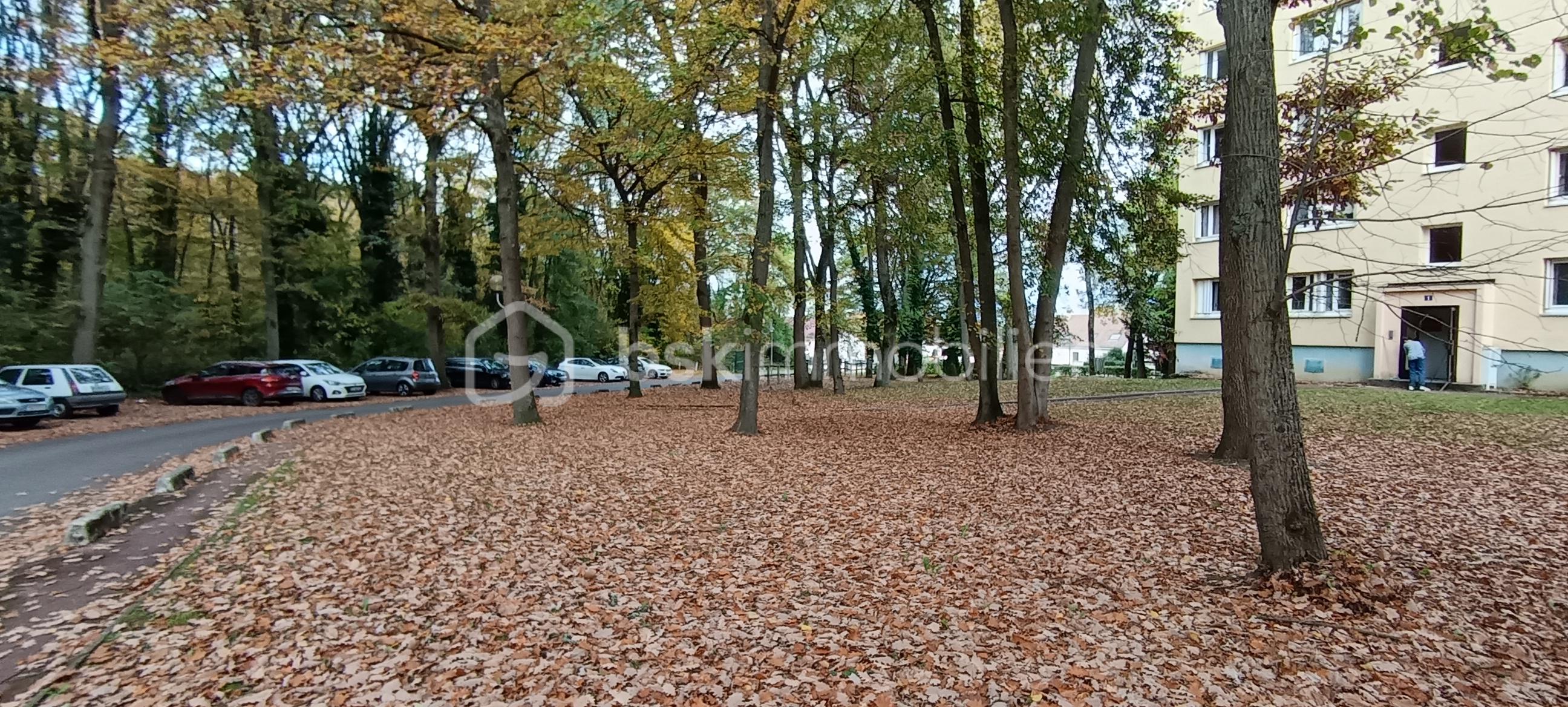 Appartement de 60 m² - IMG_20251031_152007.jpg