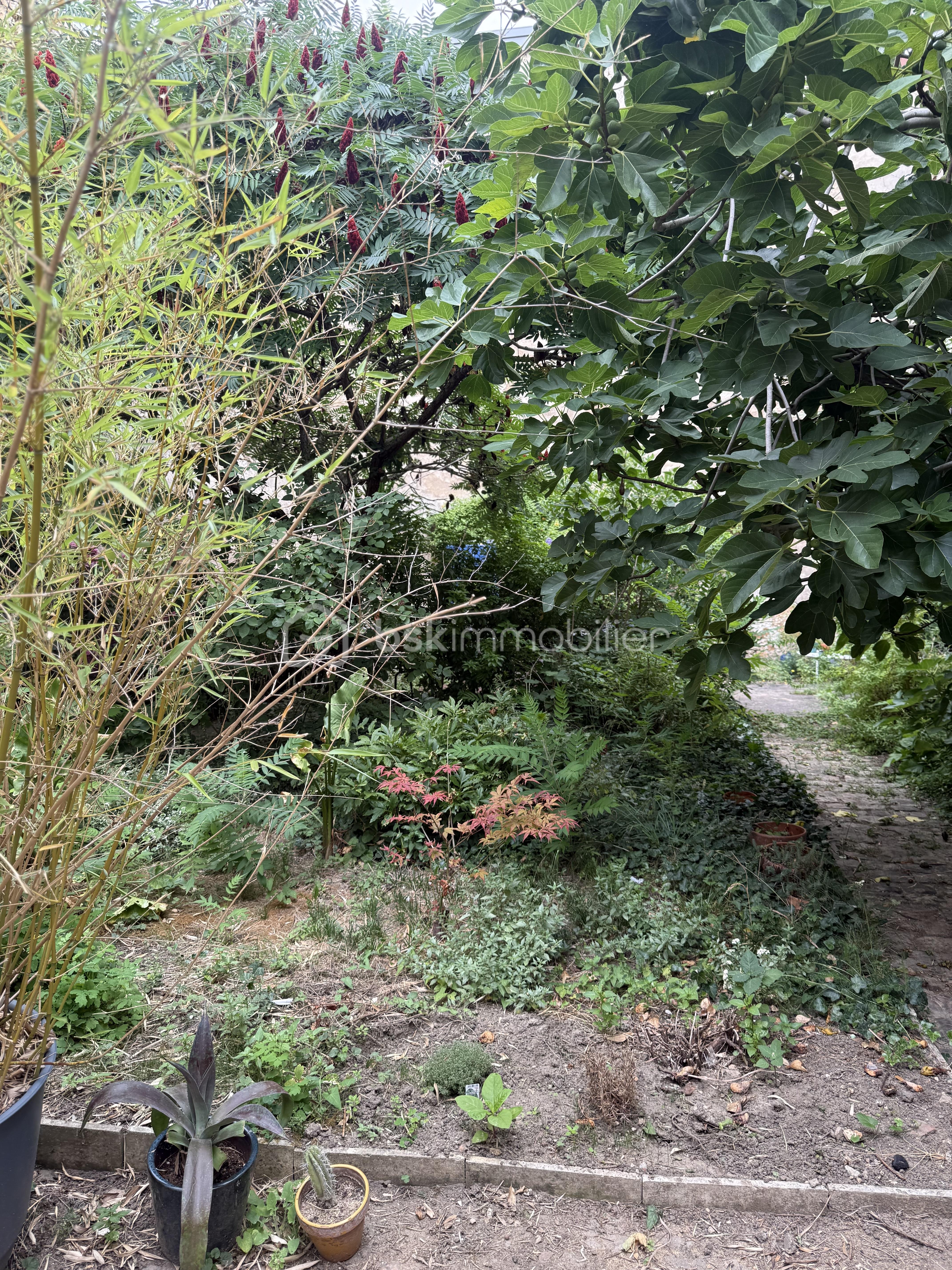 Appartement de 26 m² - IMG_3867.jpeg