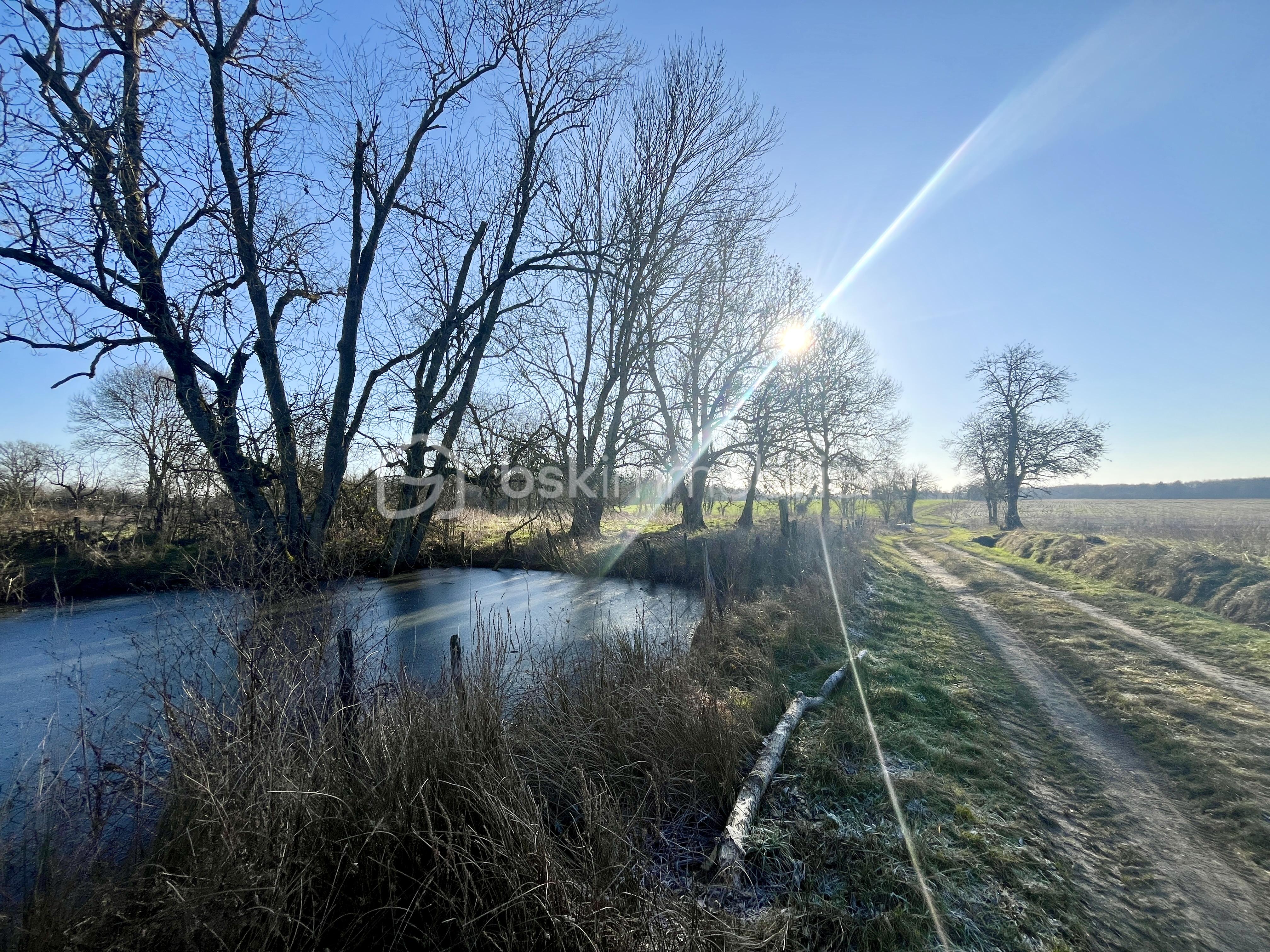 Maison de 65 m² - IMG_9847 2.jpg