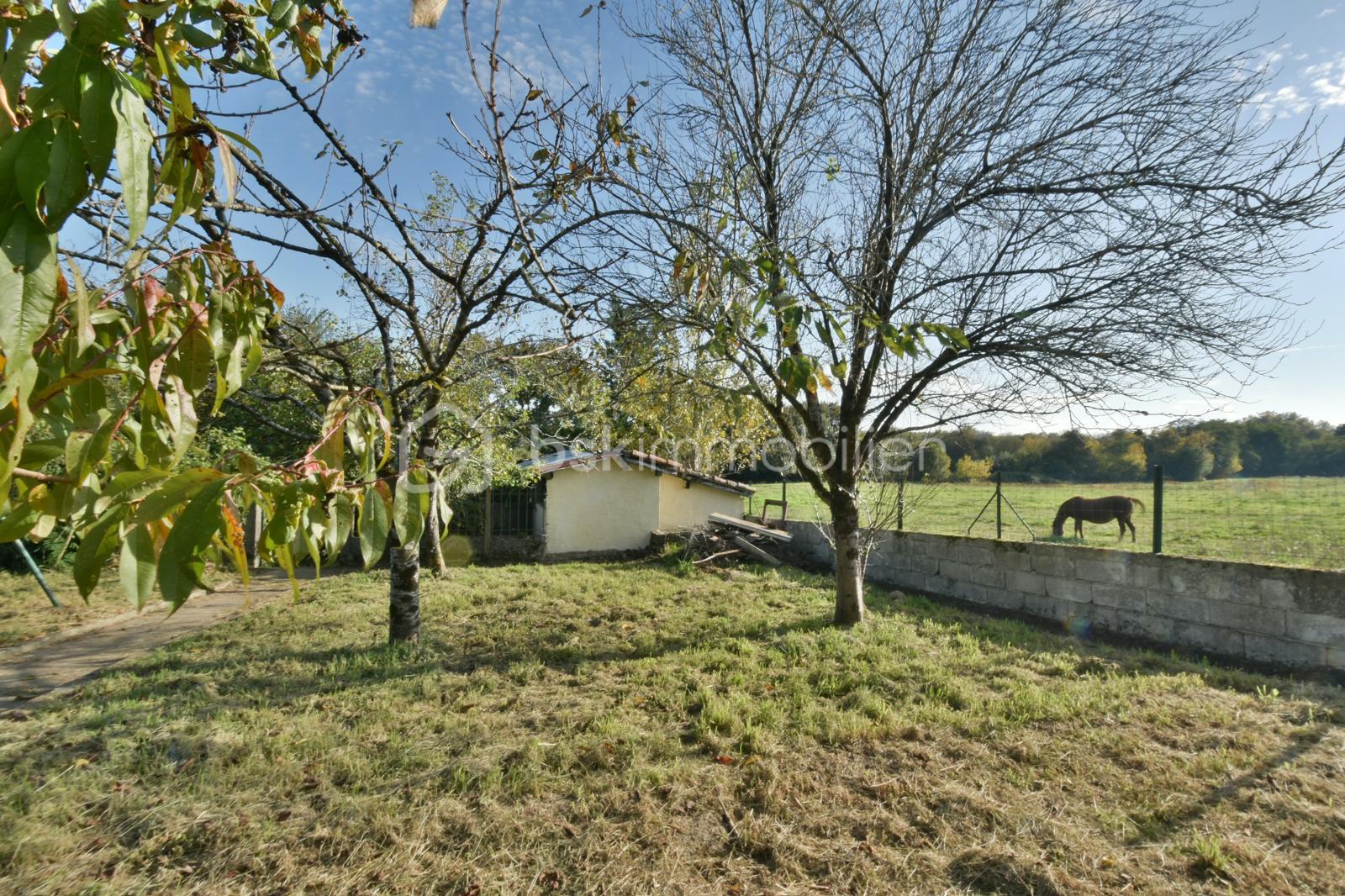 Immeuble mixte de 250 m² - WhatsApp Image 2025-10-17 à 10.14.56_55ab0331.jpg