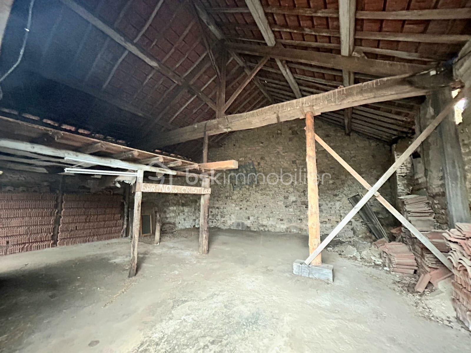 WhatsApp Image 2026-01-27 at 14.00.01.jpeg