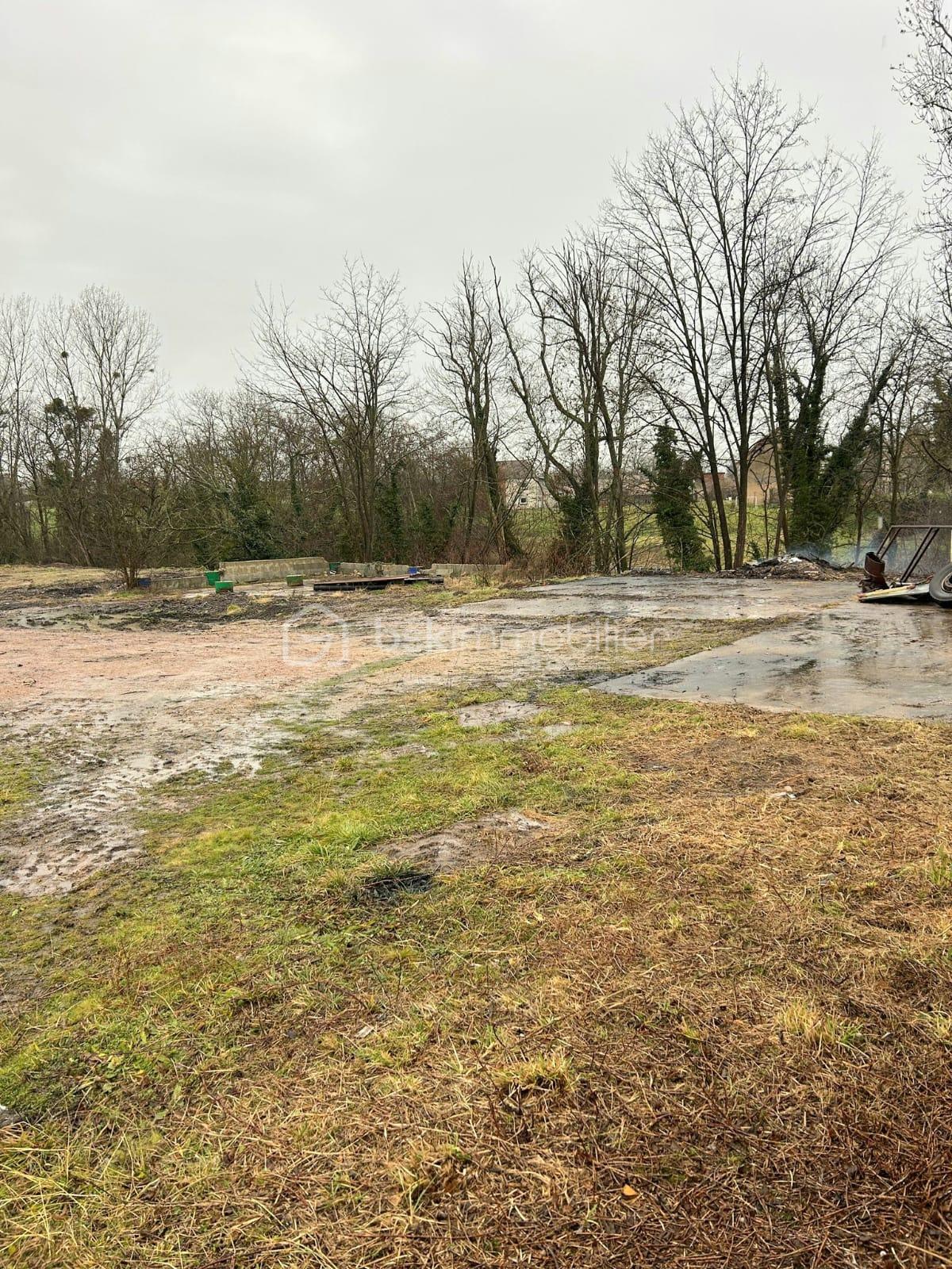 WhatsApp Image 2026-01-27 at 13.28.31.jpeg