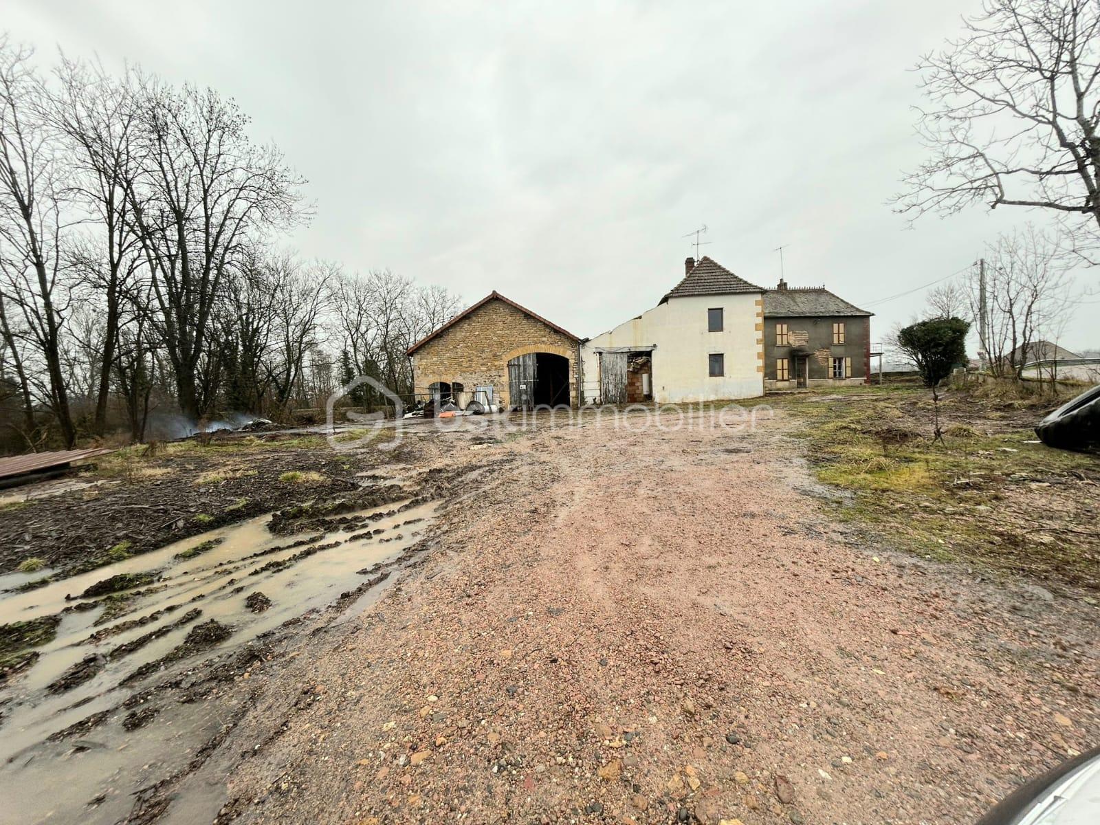 WhatsApp Image 2026-01-27 at 13.28.49.jpeg