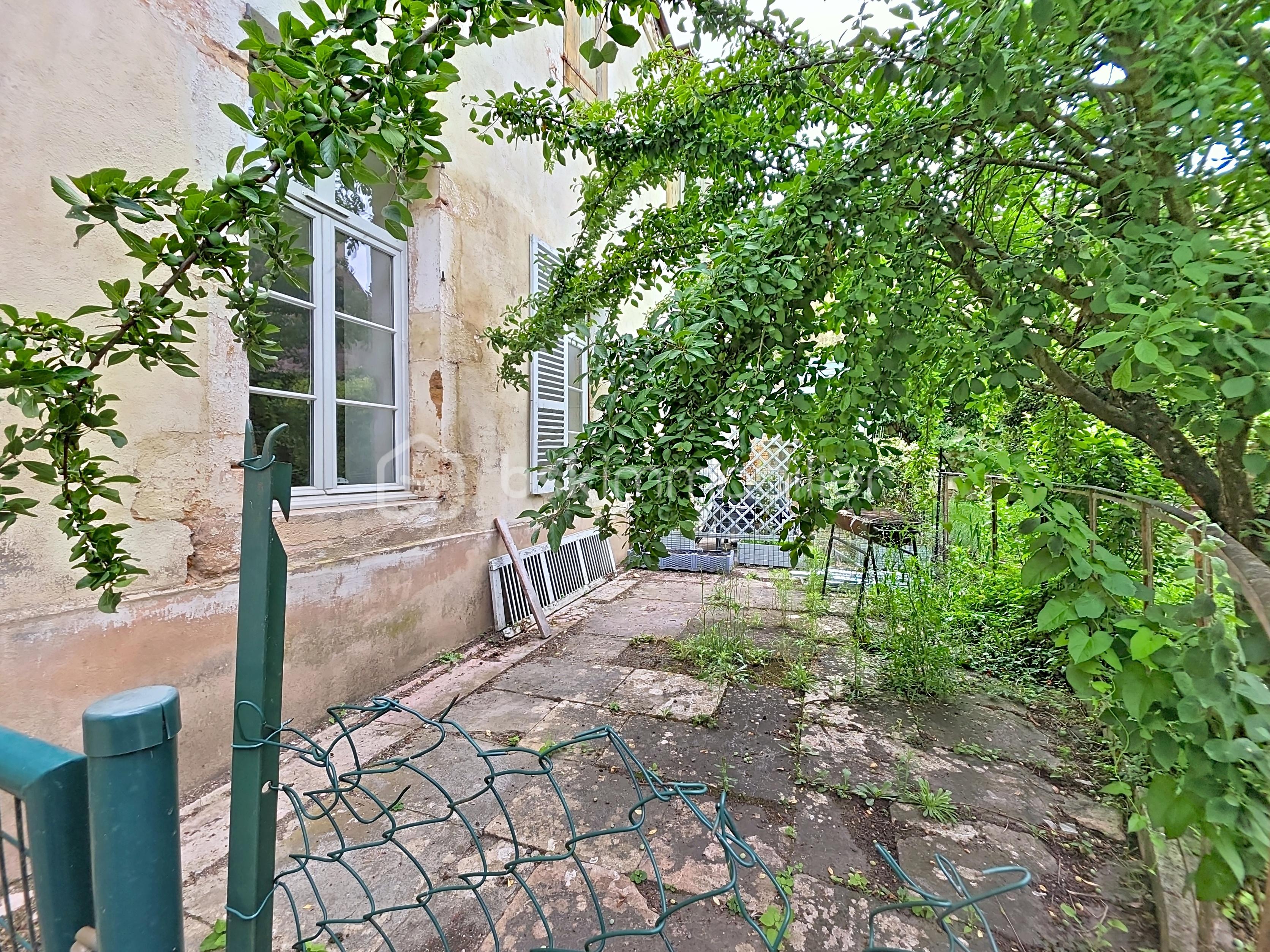74389.jpg