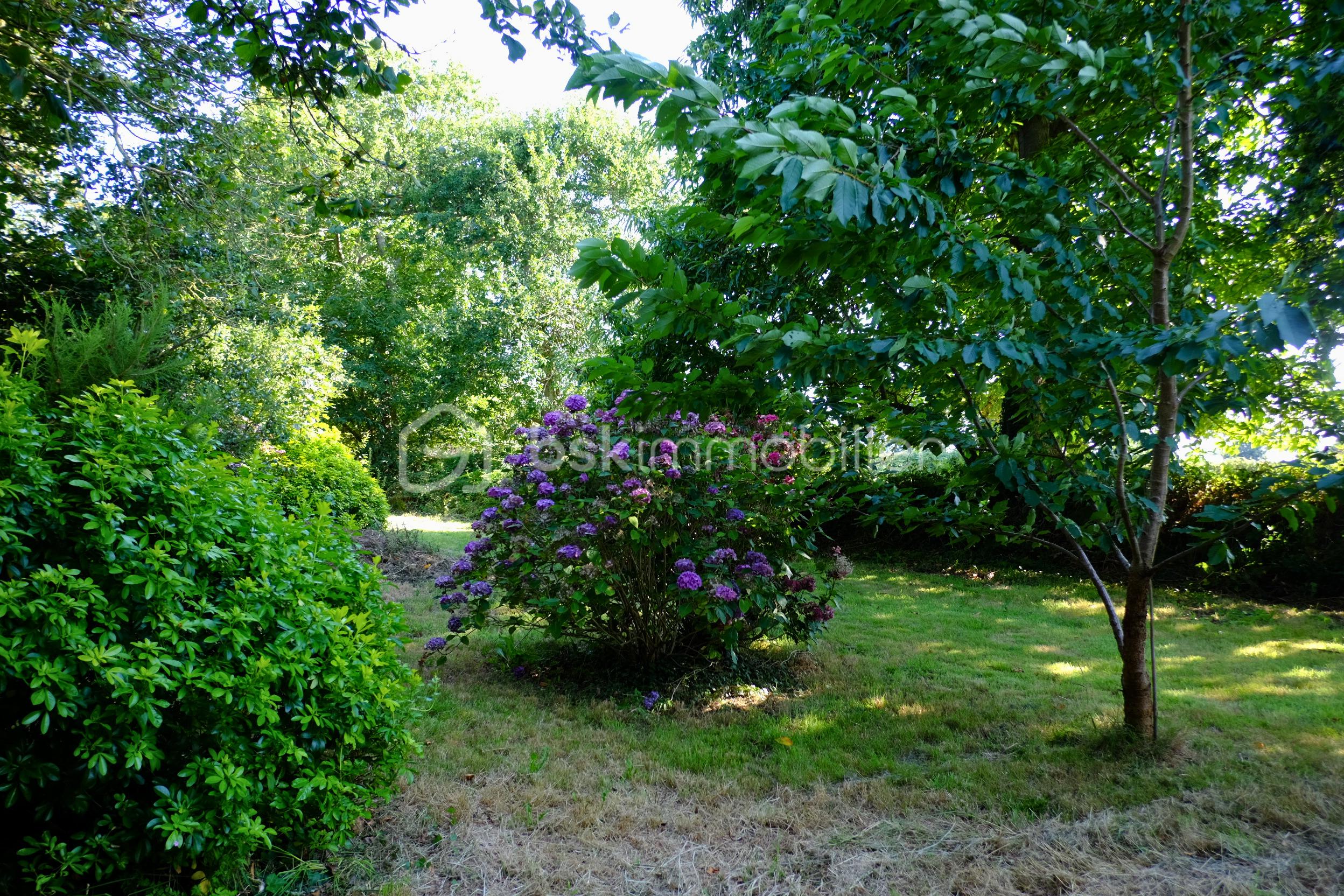 jardin3.jpg