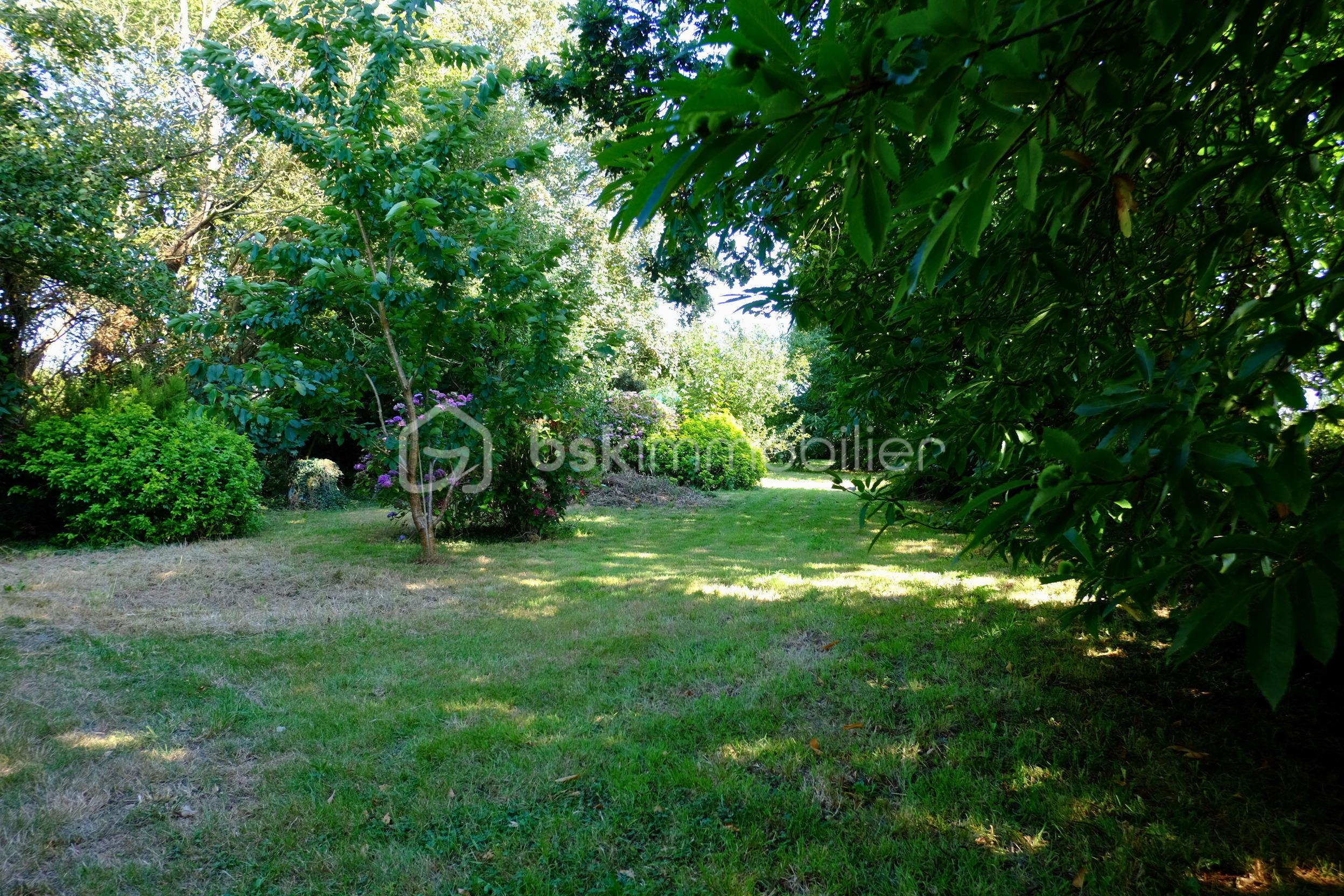jardin2.jpg