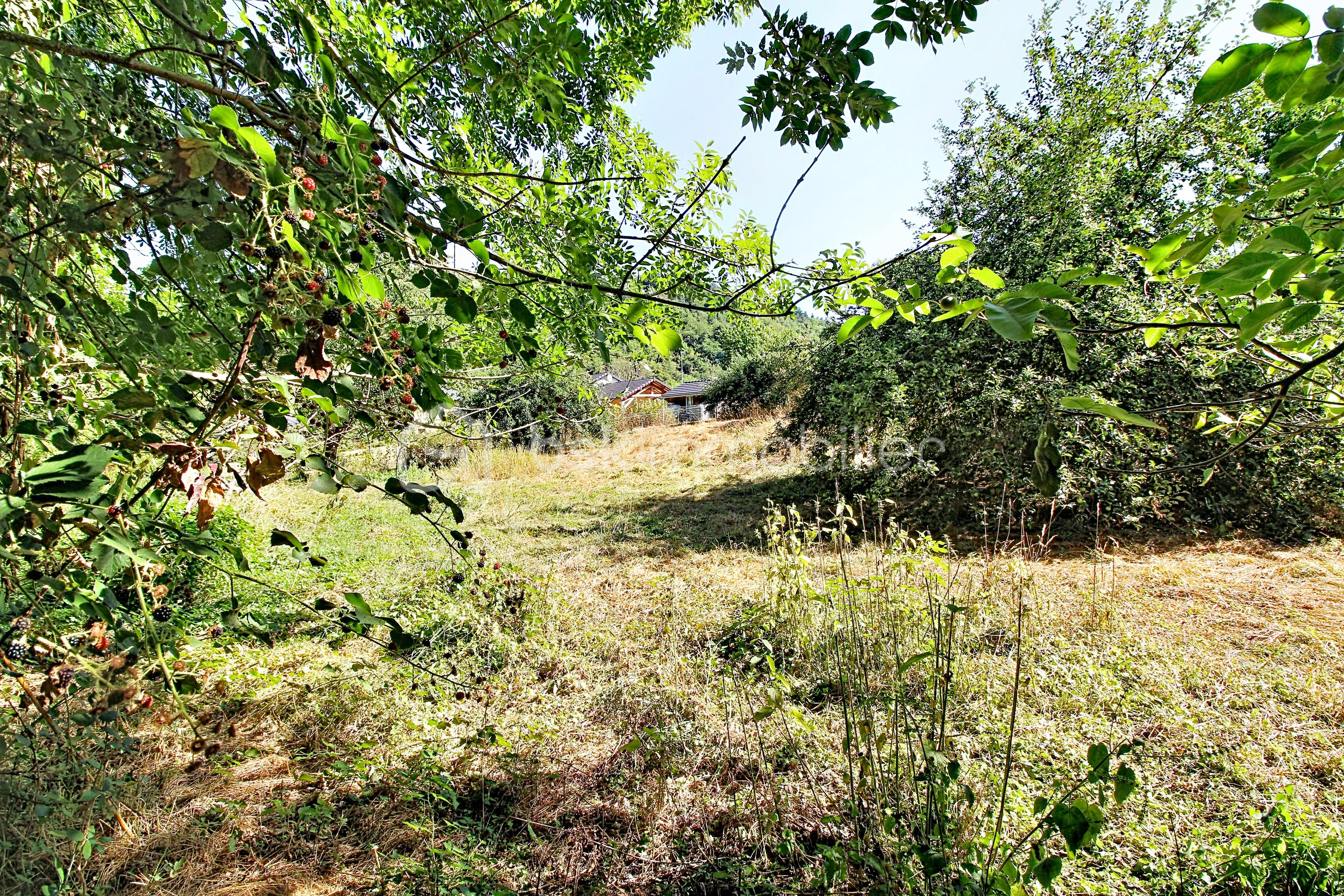 balsan_00008.jpg