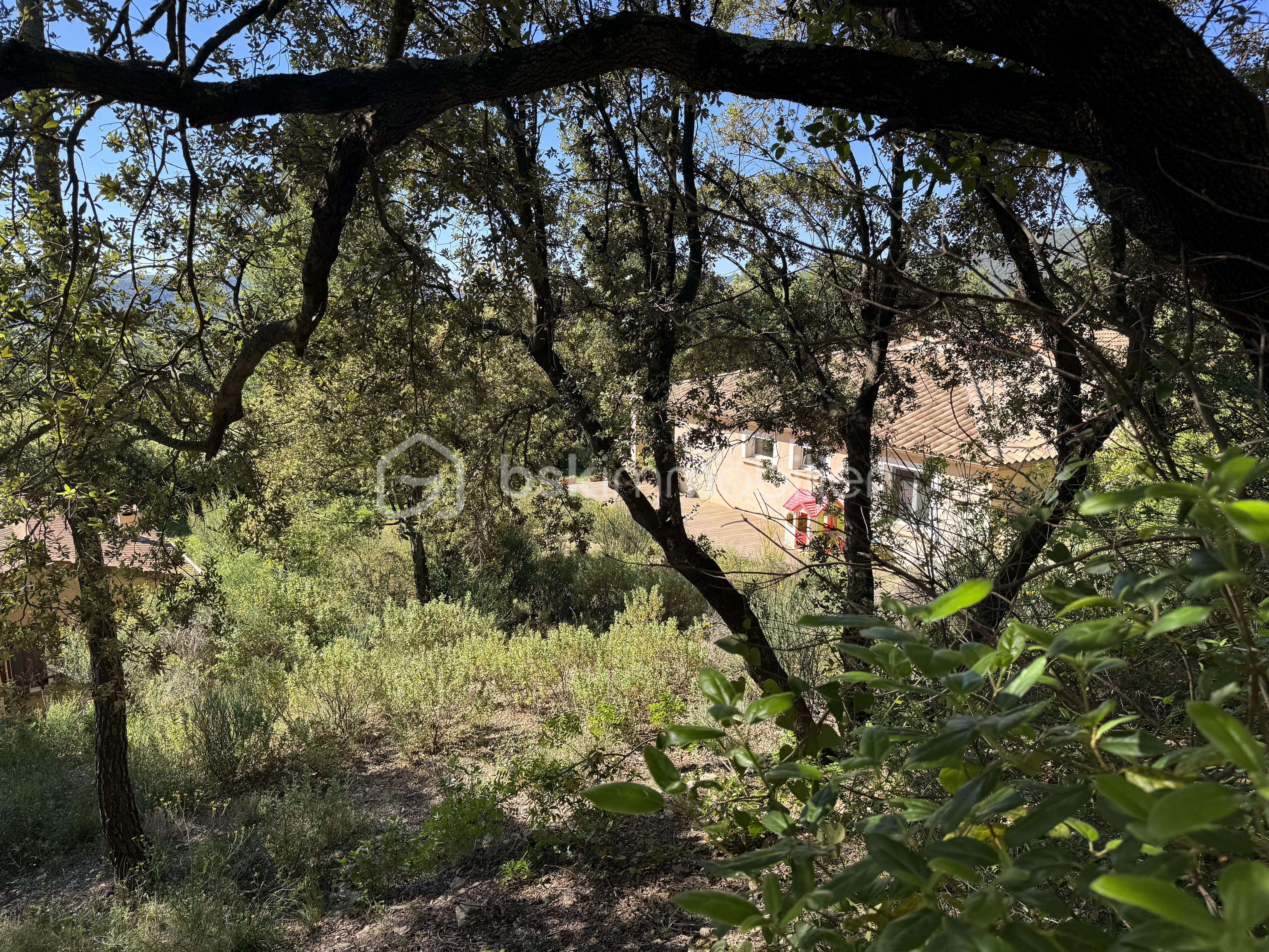 IMG_5602.jpeg
